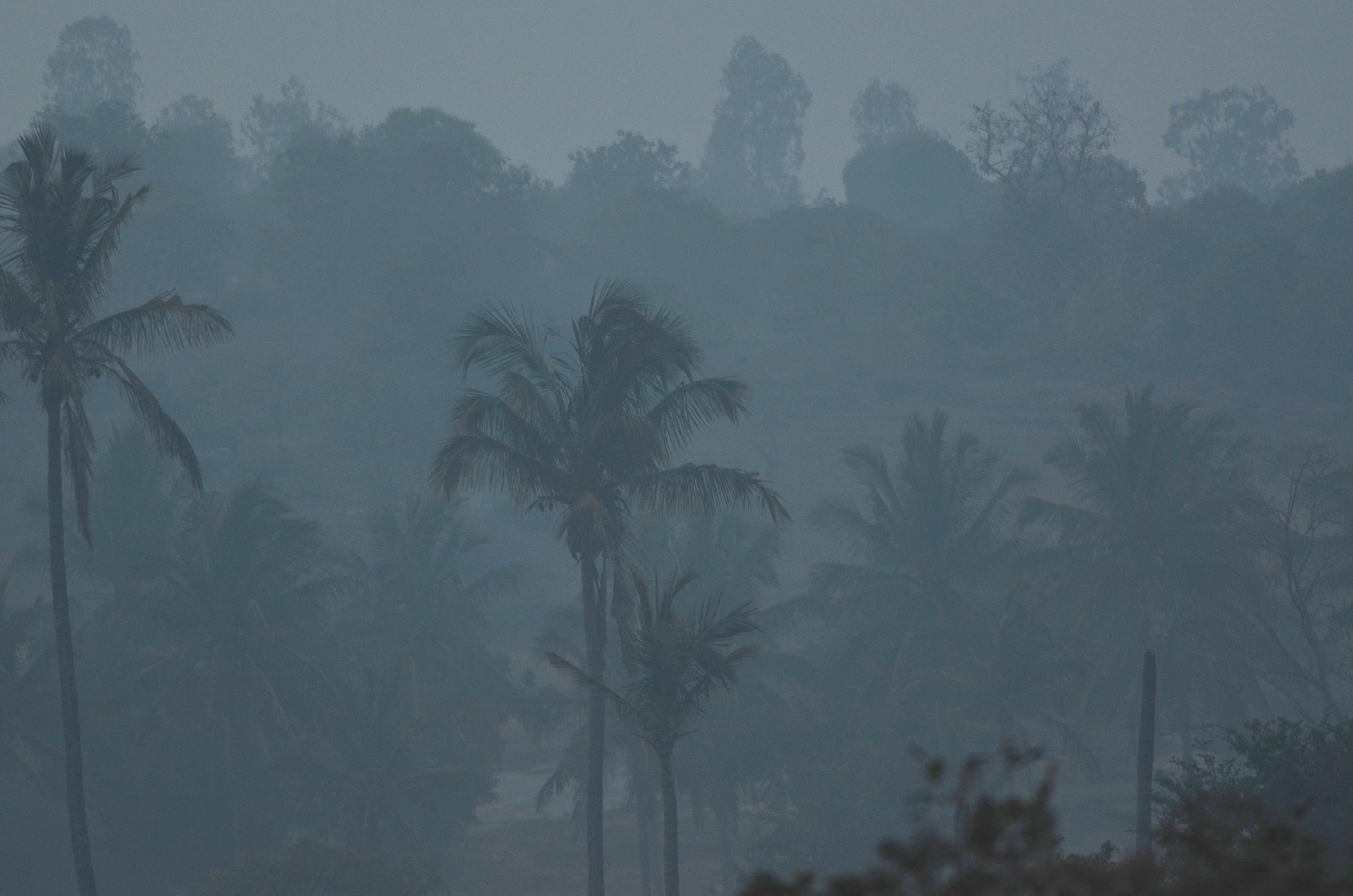 Nikon D7000 + Nikon AF-S Nikkor 300mm F4D ED-IF sample photo. Misty morn... photography