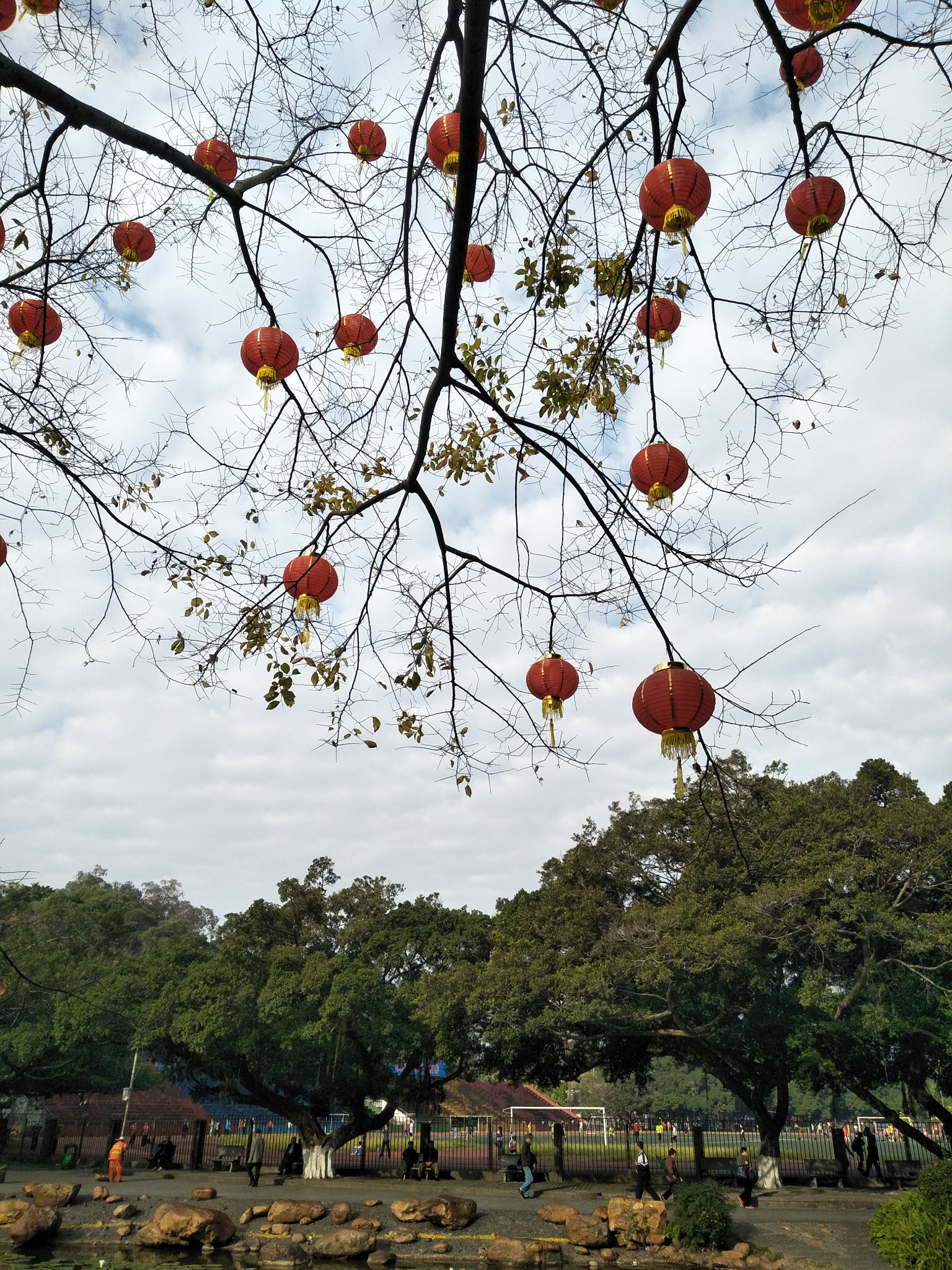 OPPO A57 sample photo