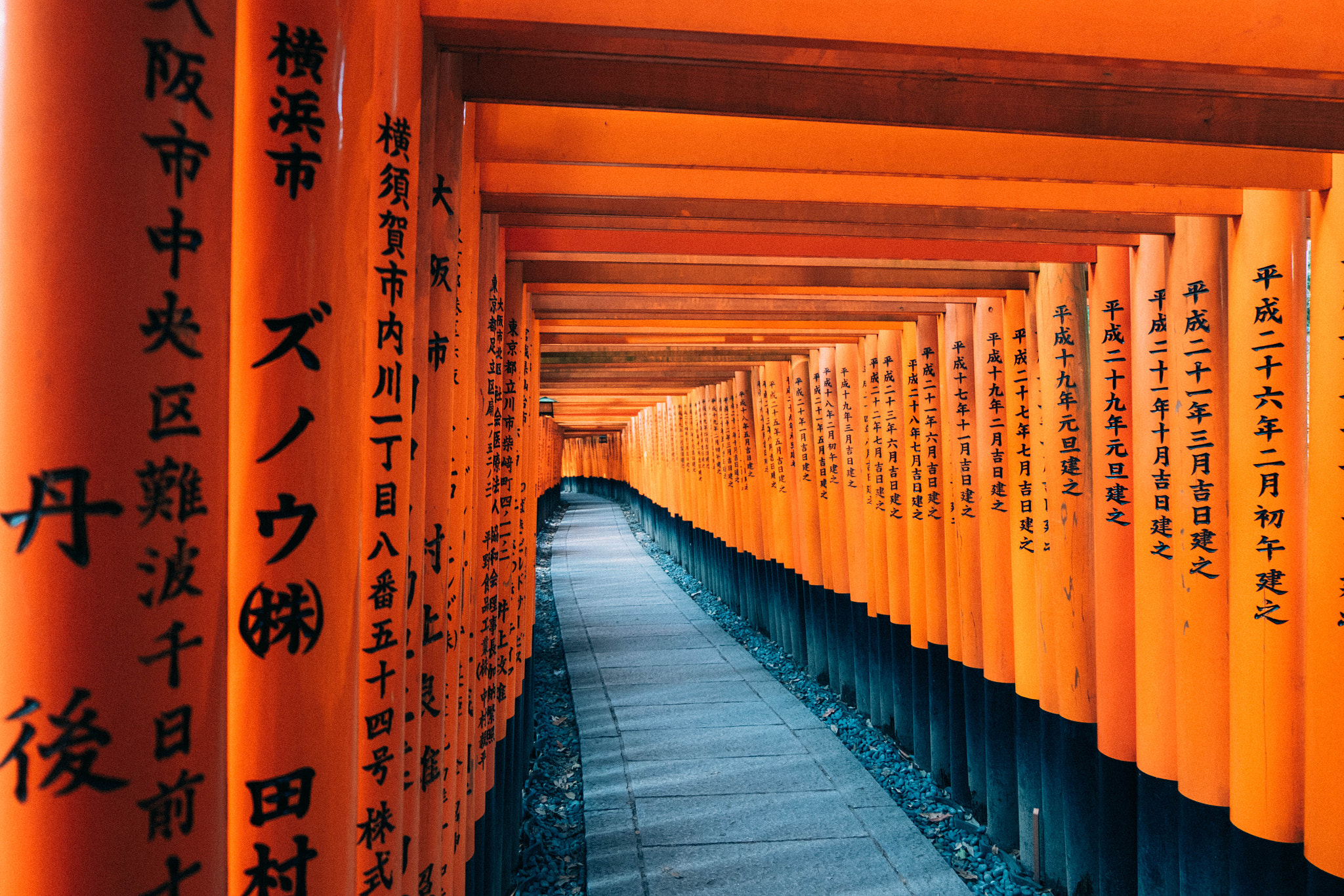 Fujifilm XC 16-50mm F3.5-5.6 OIS sample photo. 京都 photography