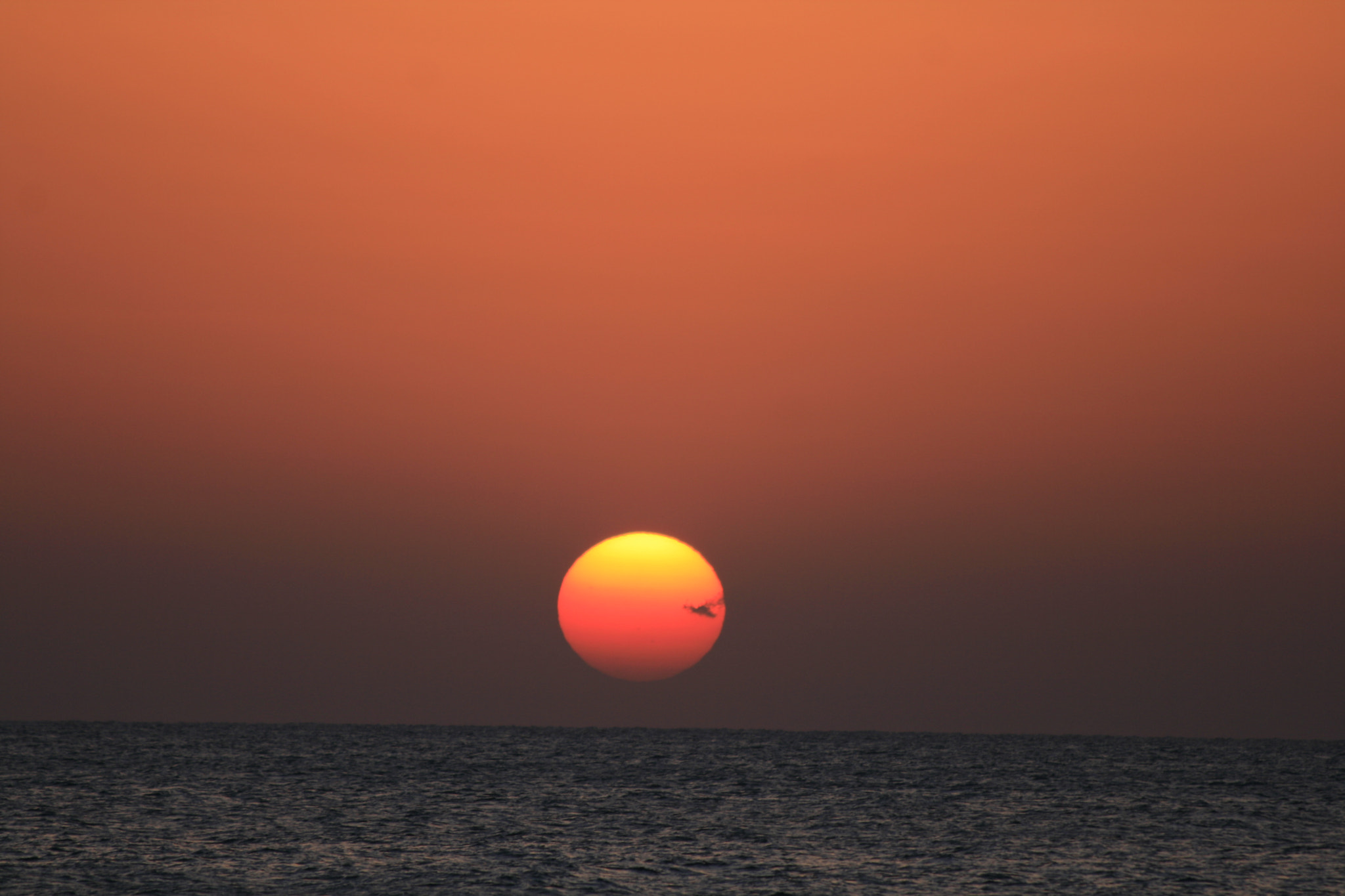 Canon EF 70-300mm F4-5.6 IS USM sample photo