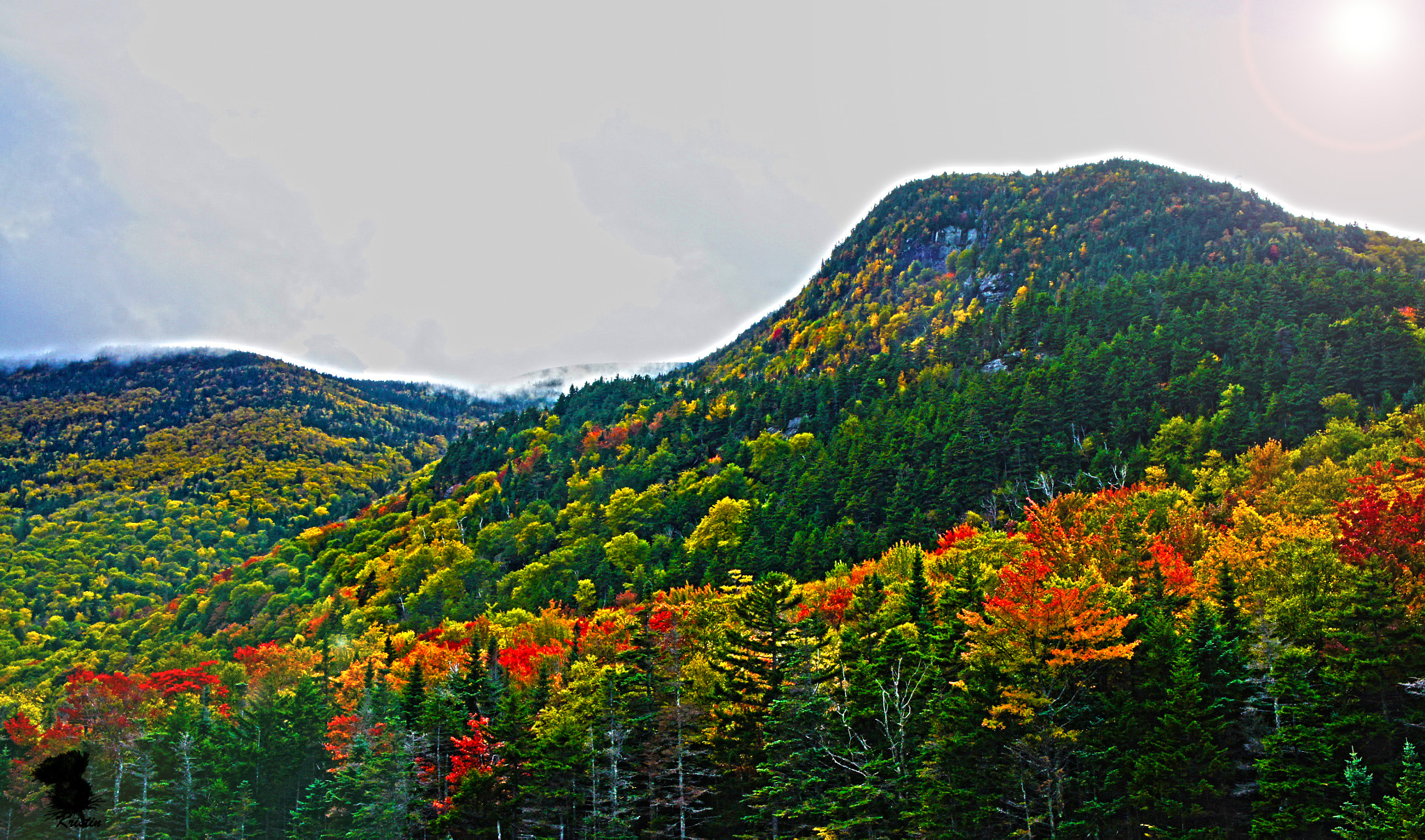 Tamron 18-200mm F3.5-6.3 Di III VC sample photo. Longing for autumn photography