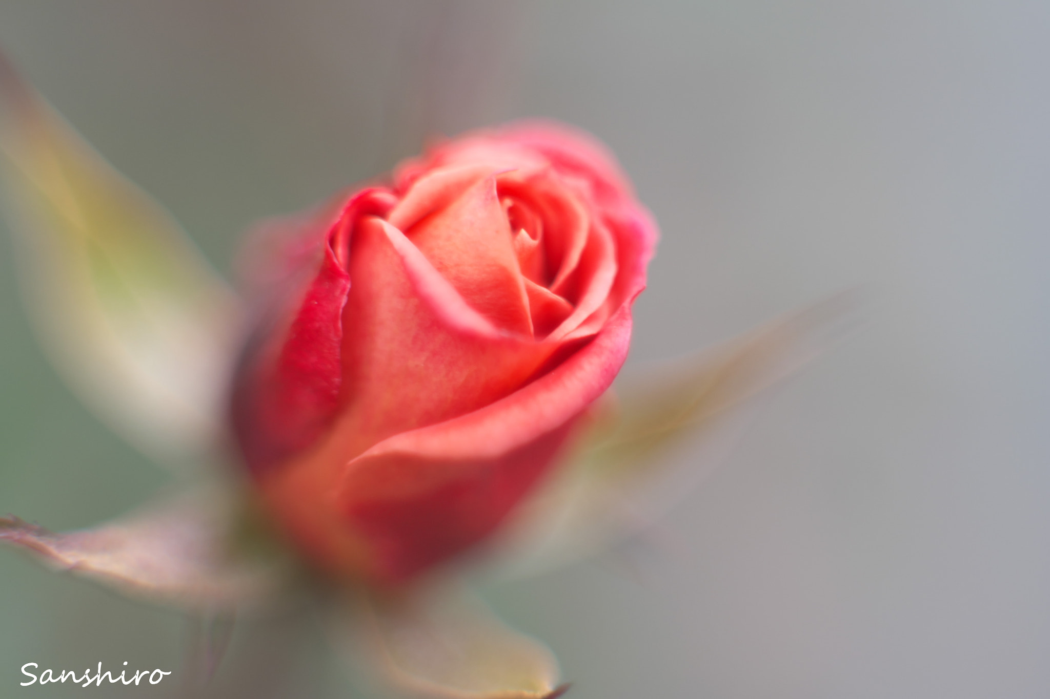 Fujifilm X-M1 sample photo. Untitled photography