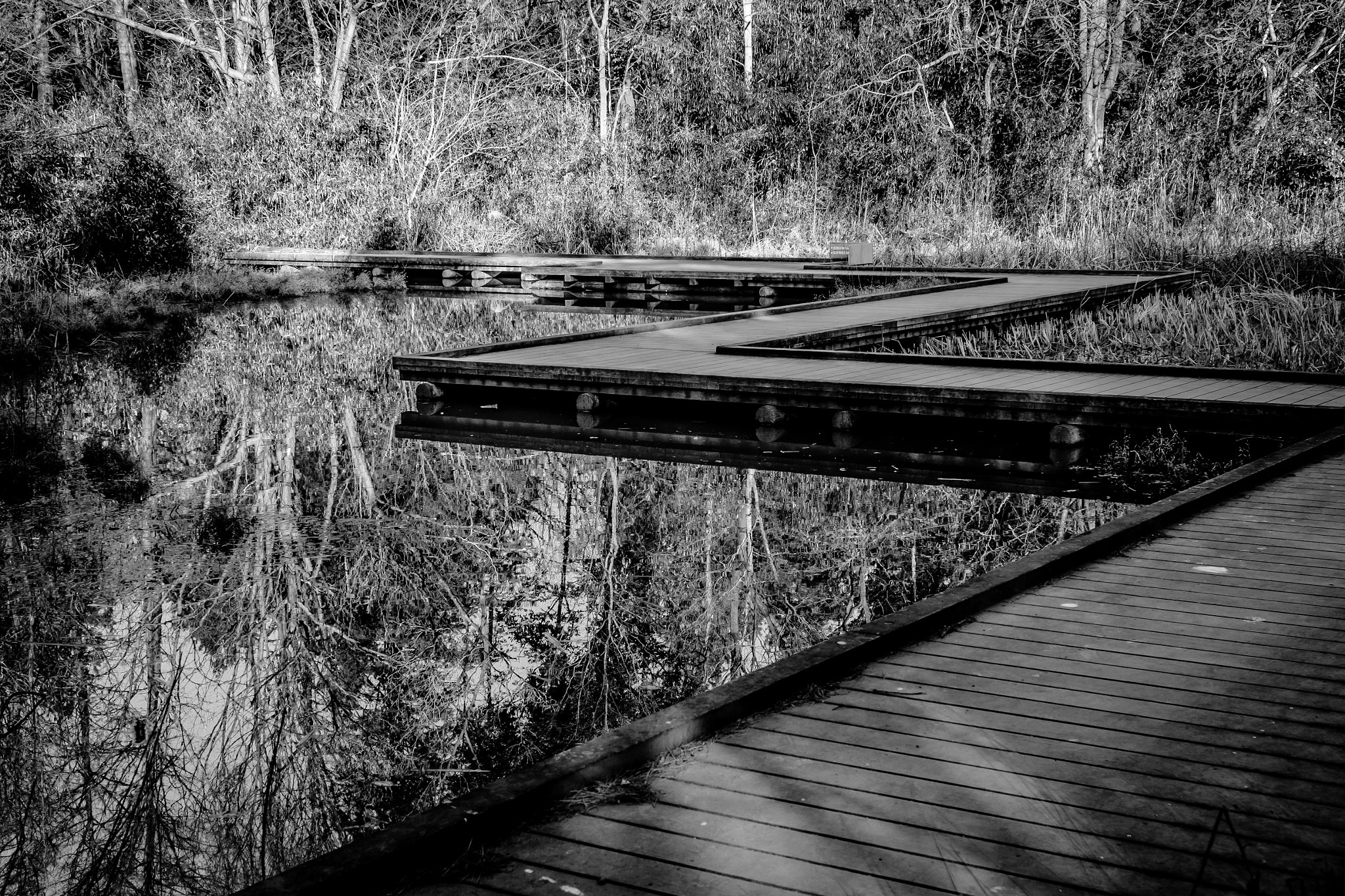 Fujifilm X-Pro1 + ZEISS Touit 32mm F1.8 sample photo. The damp ground of the dragonfly in desolate winter photography