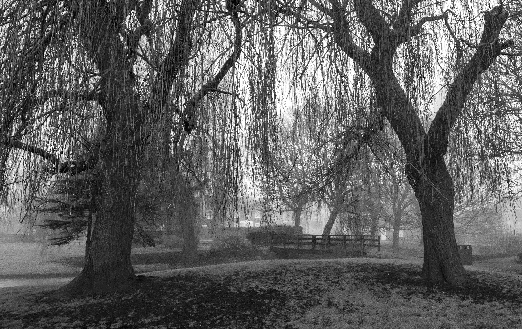 Canon EOS 750D (EOS Rebel T6i / EOS Kiss X8i) sample photo. Bridge into the mist bw photography