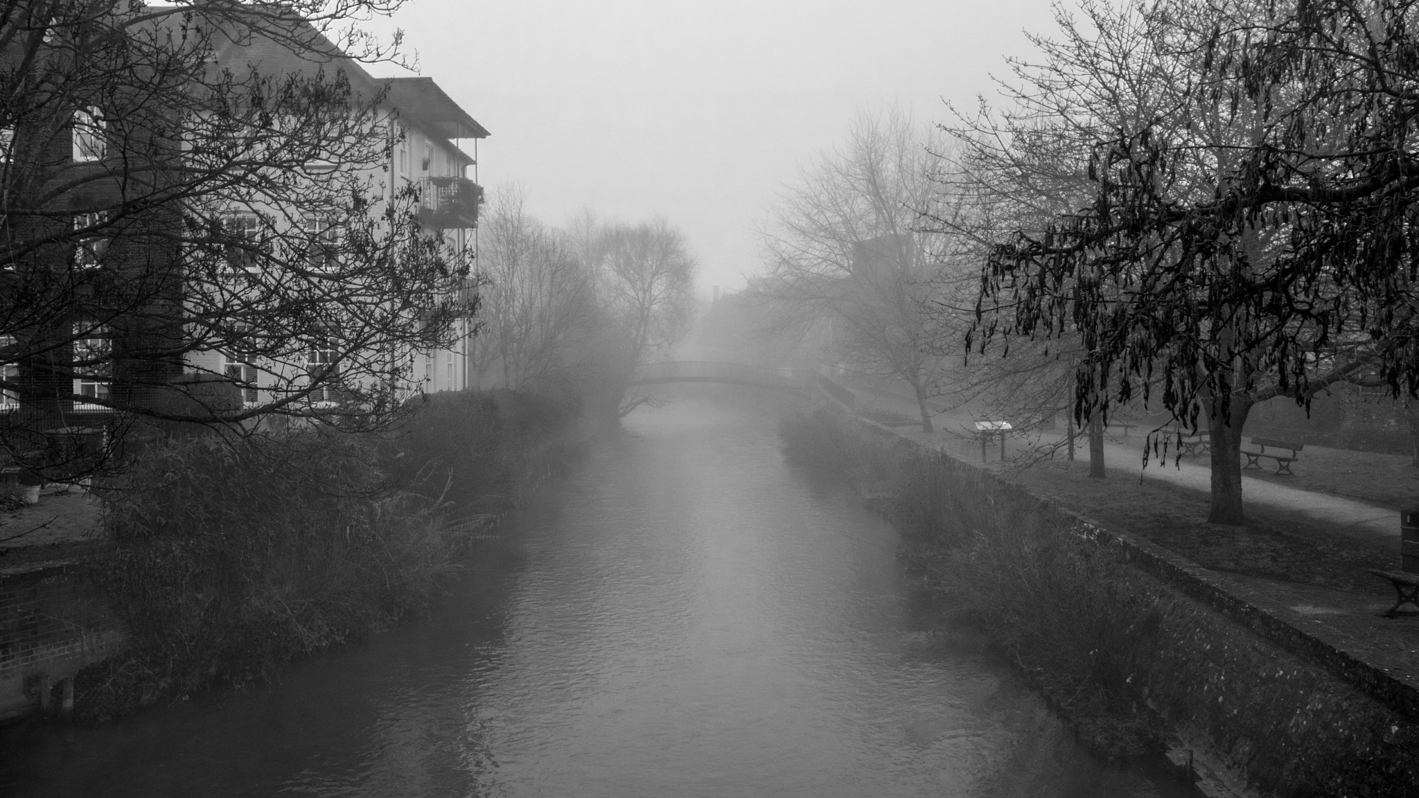 Canon EOS 750D (EOS Rebel T6i / EOS Kiss X8i) sample photo. River of mist bw photography
