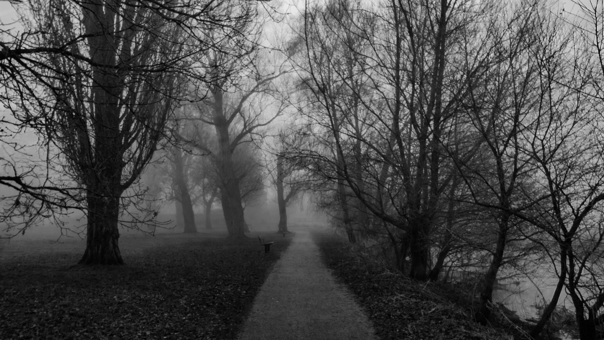 Canon EOS 750D (EOS Rebel T6i / EOS Kiss X8i) sample photo. Waiting in the fog bw photography
