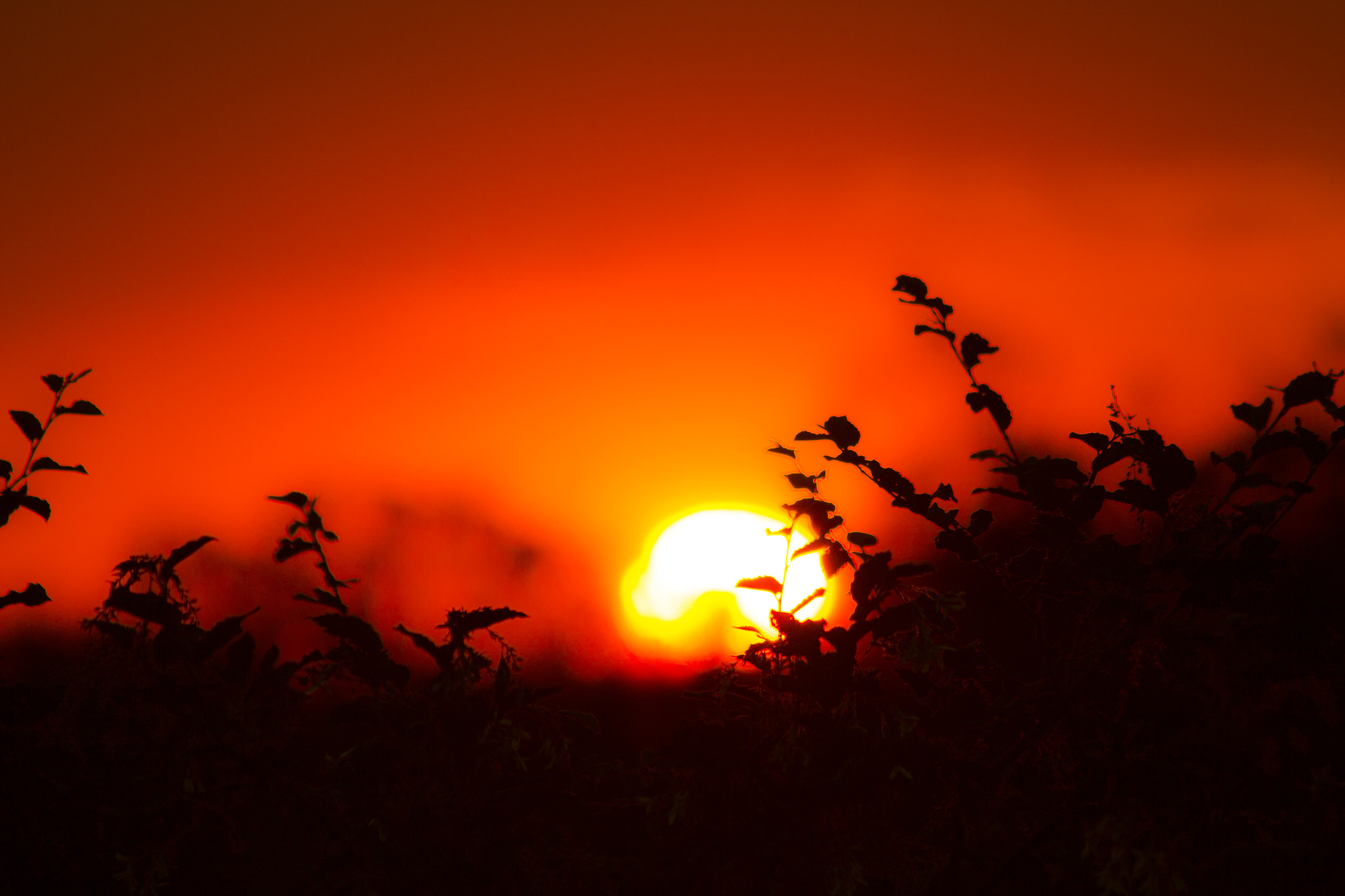 Canon EF 70-300mm F4-5.6 IS USM sample photo