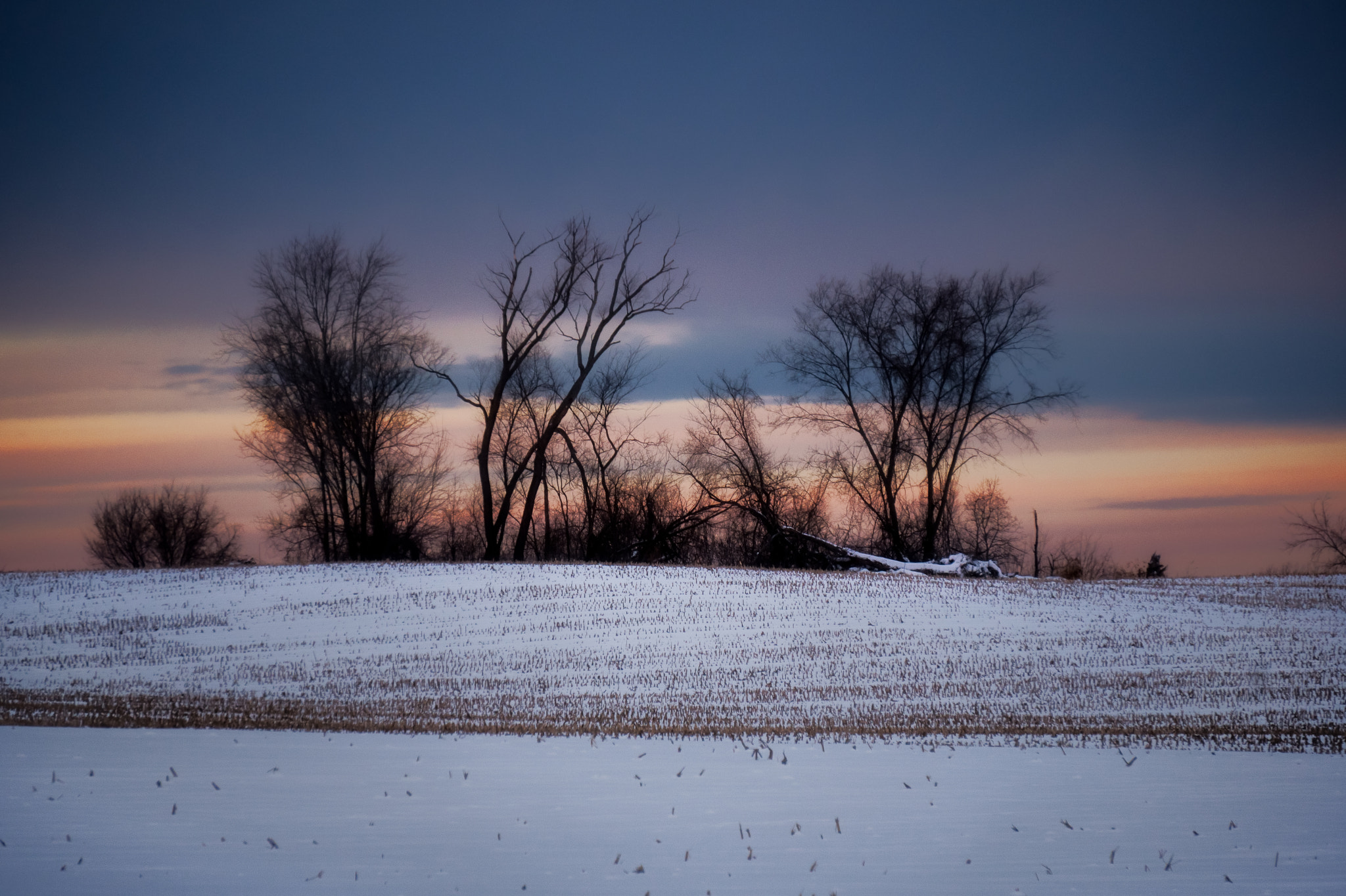Sony a6300 + Sony E 55-210mm F4.5-6.3 OSS sample photo. Basking in the light... photography