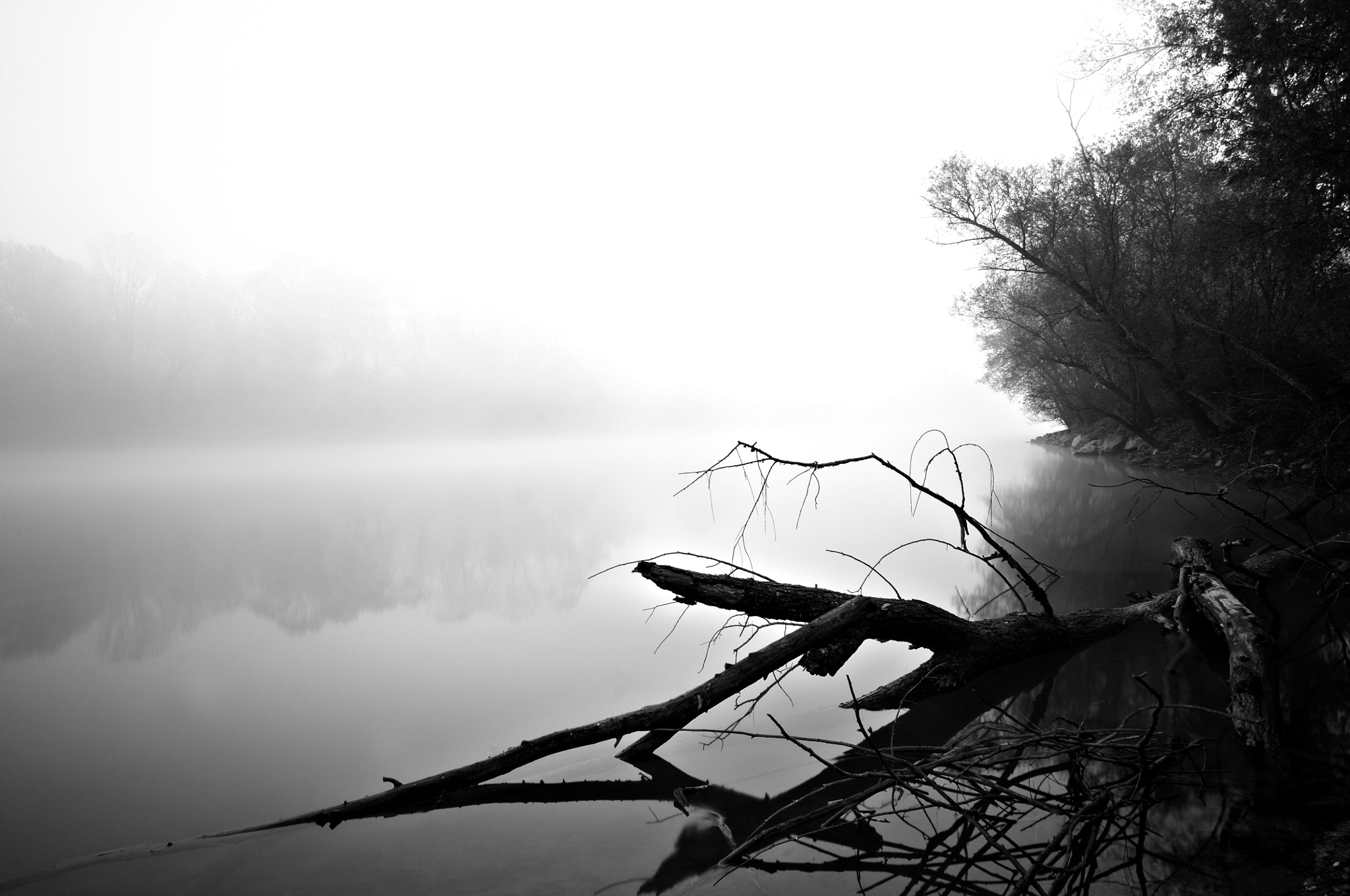 Nikon D300 sample photo. Fiume adda (italy) photography