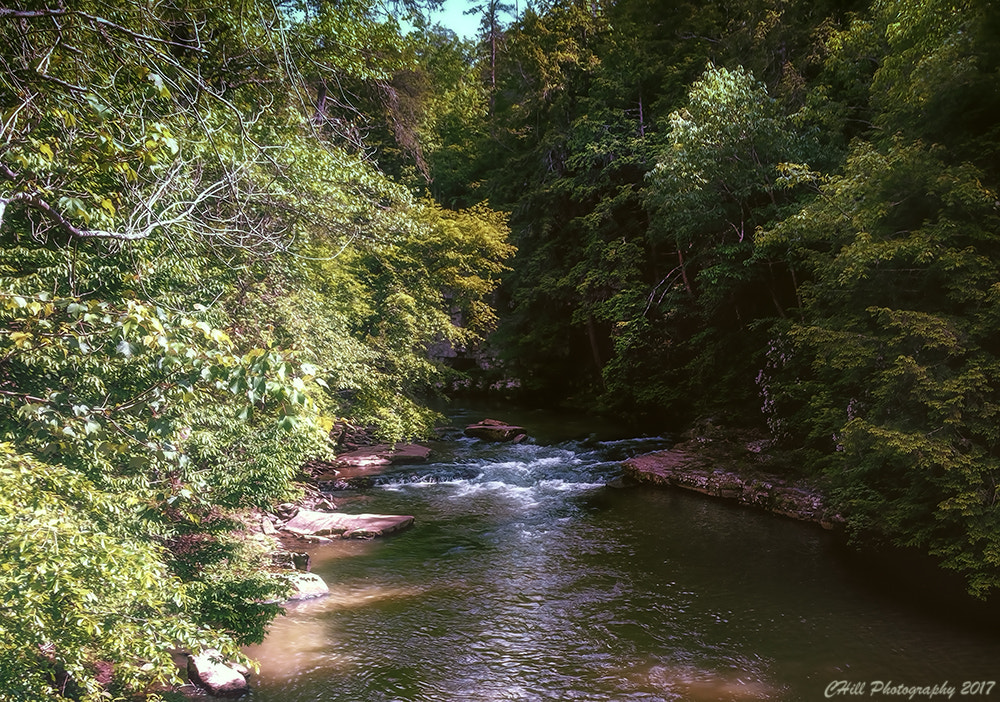 Sigma 18-250mm F3.5-6.3 DC OS HSM sample photo. Tennessee river photography