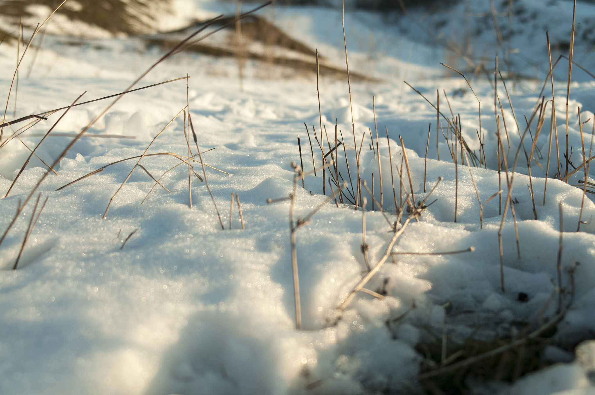 AF Zoom-Nikkor 35-70mm f/3.3-4.5 sample photo. #40 photography