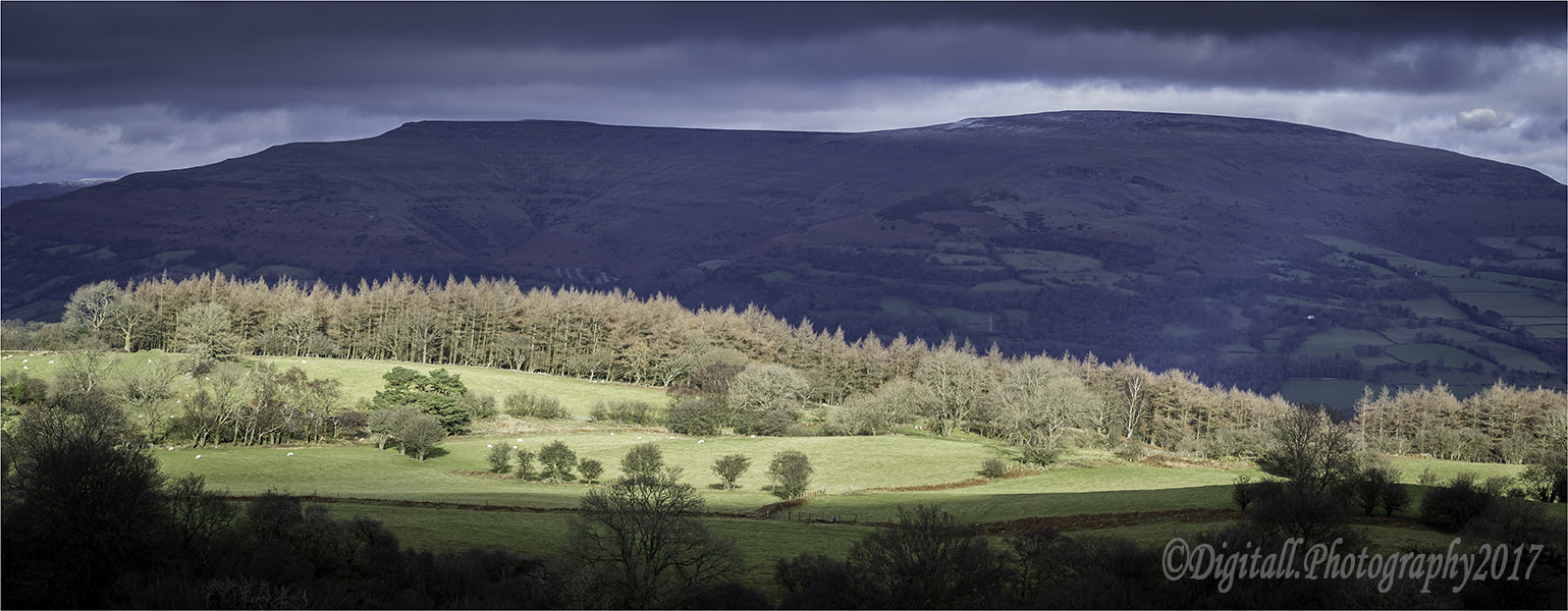 Nikon D3S sample photo. Looking north from llangattock escarpment photography