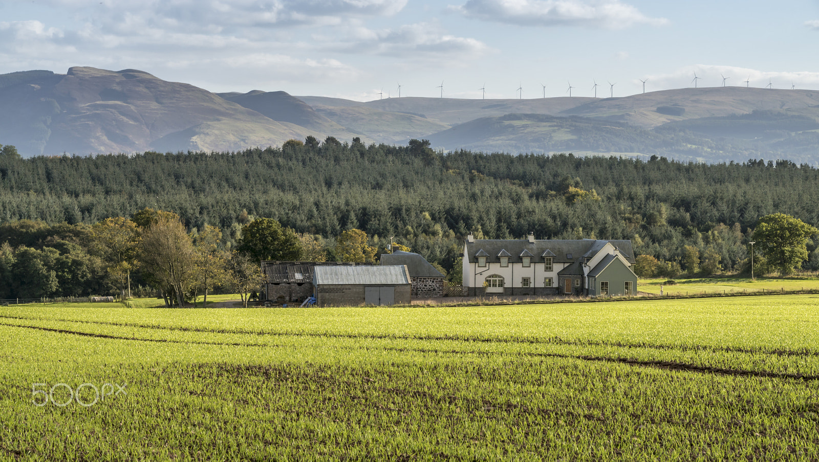 Sony ILCA-77M2 sample photo. Perthshire evening photography