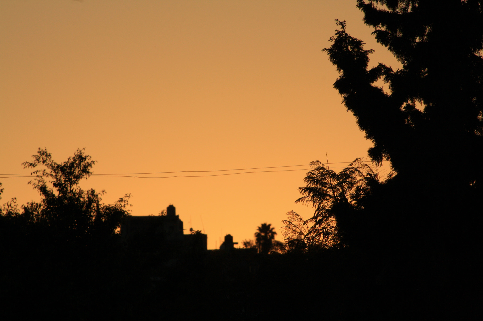 Canon EOS 1000D (EOS Digital Rebel XS / EOS Kiss F) sample photo. Morning photography