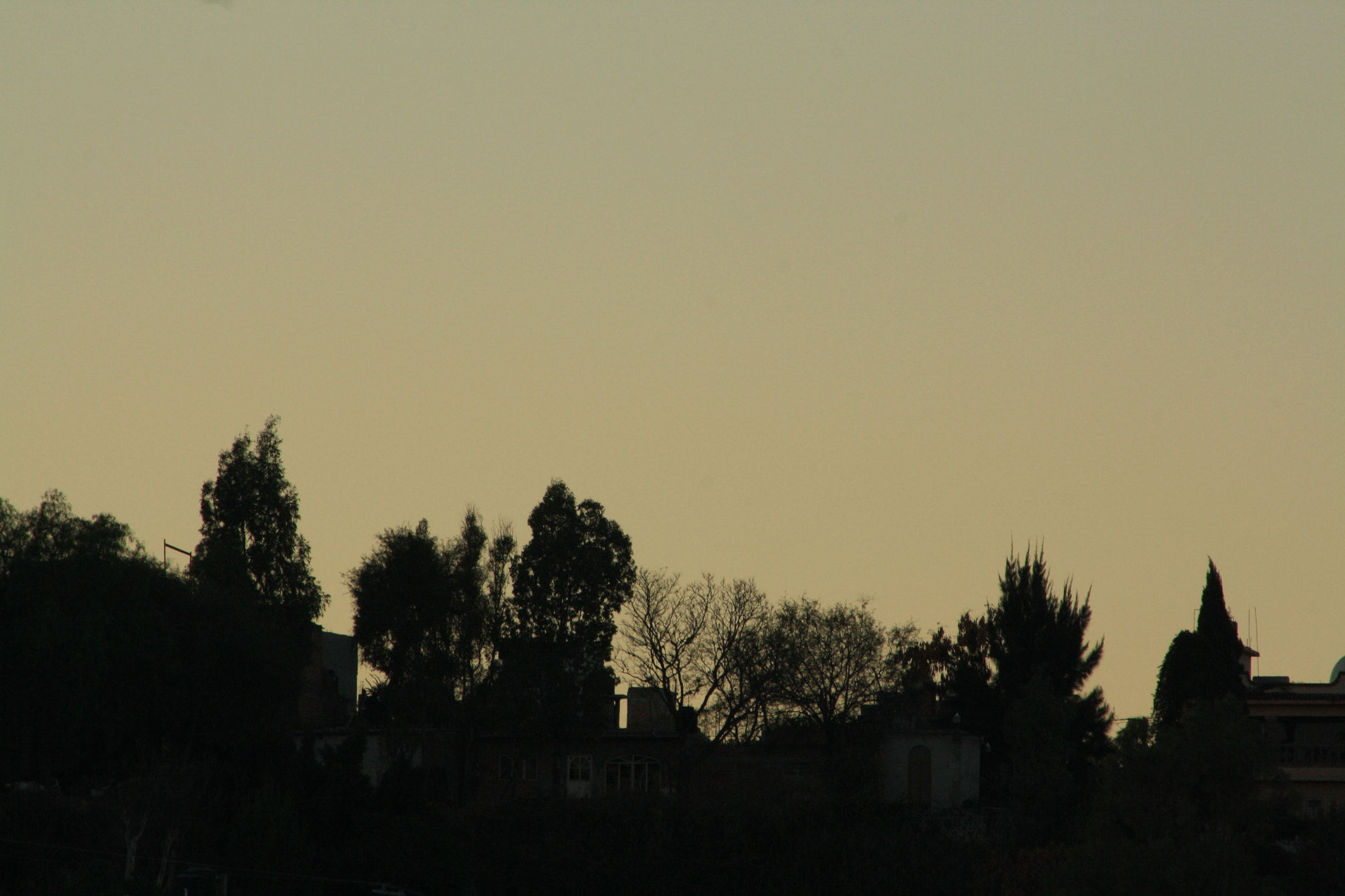 Canon EOS 1000D (EOS Digital Rebel XS / EOS Kiss F) sample photo. Morning photography