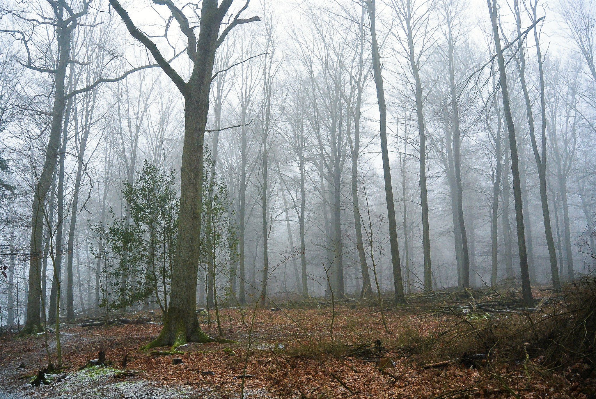 Nikon 1 Nikkor 11-27.5mm F3.5-5.6 sample photo. Solitude... photography