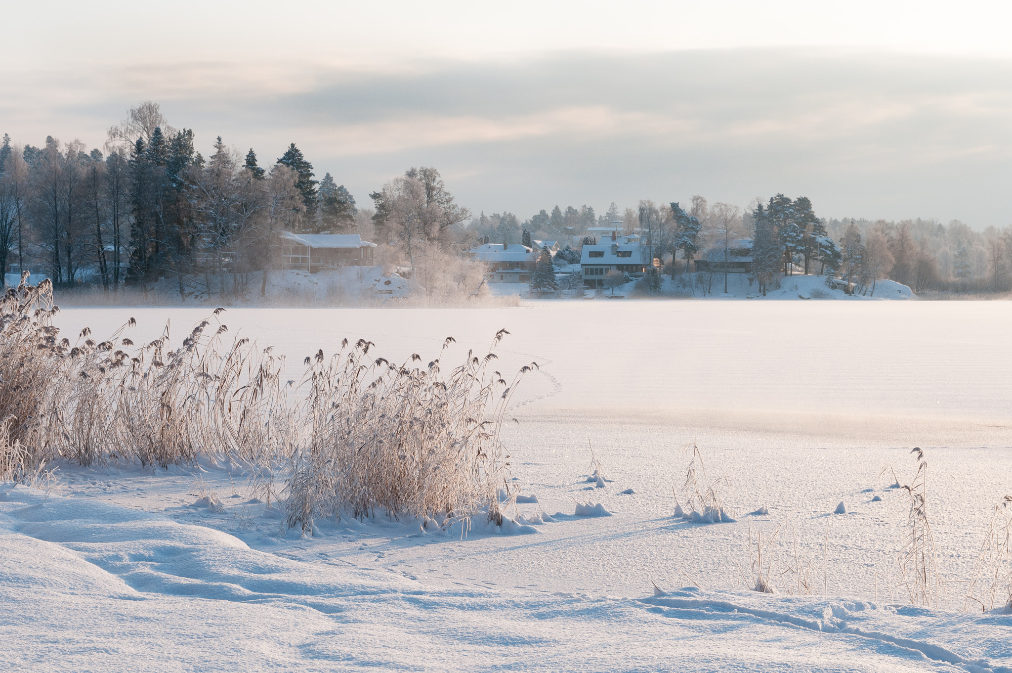 Nikon D300 + Sigma 18-50mm F2.8 EX DC Macro sample photo. Cold winder day photography