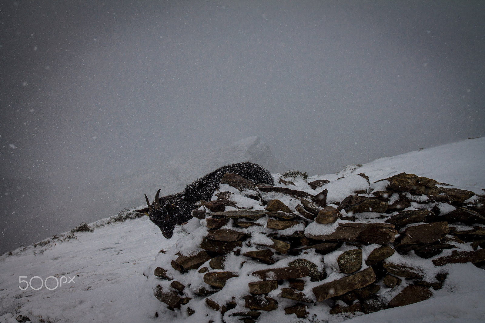 Tamron SP AF 17-50mm F2.8 XR Di II LD Aspherical (IF) sample photo. Snow in ganekorta mountain photography