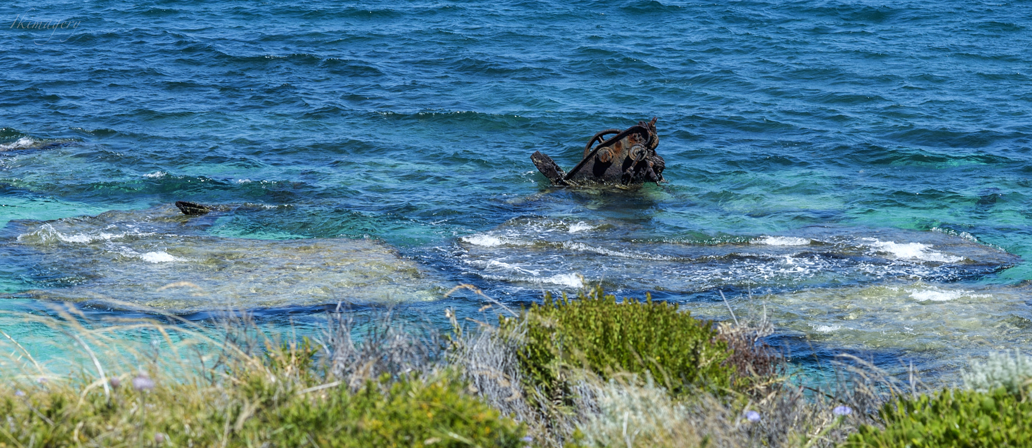 Nikon D4 + Nikon AF-S Nikkor 85mm F1.4G sample photo. Rottnest nautilus photography