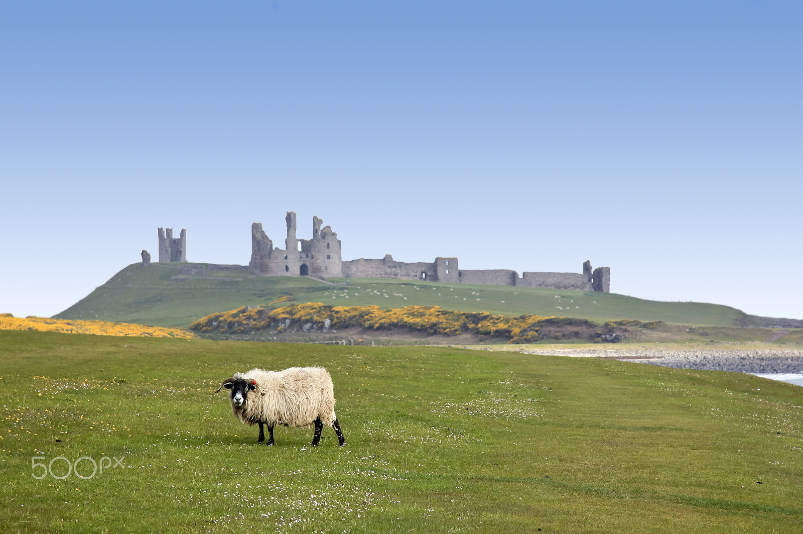Canon EF-S 17-85mm F4-5.6 IS USM sample photo. Dunstanburgh castle northumberland coast photography