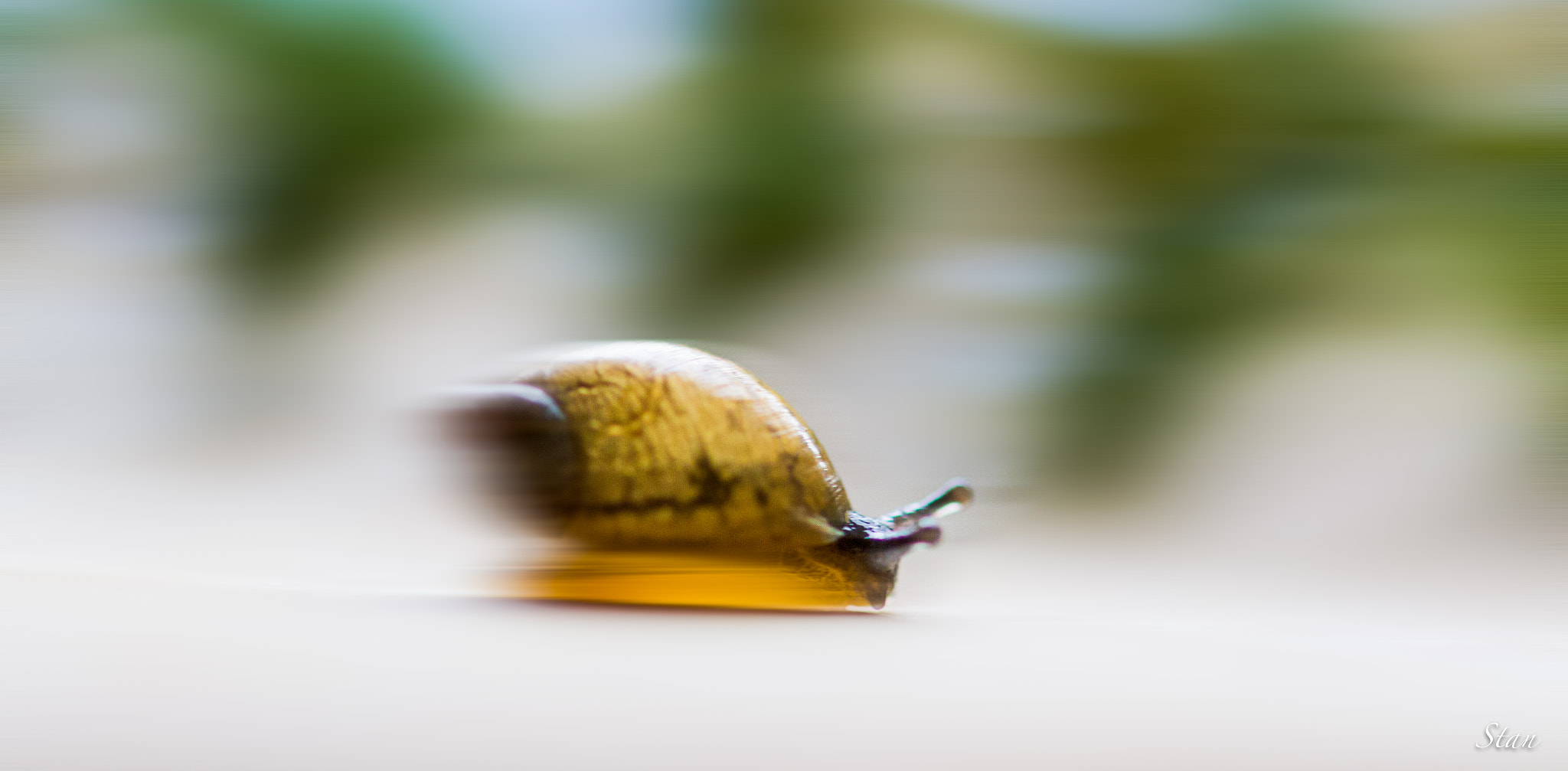 Sigma 105mm F2.8 EX DG OS HSM sample photo. Turbo!! photography