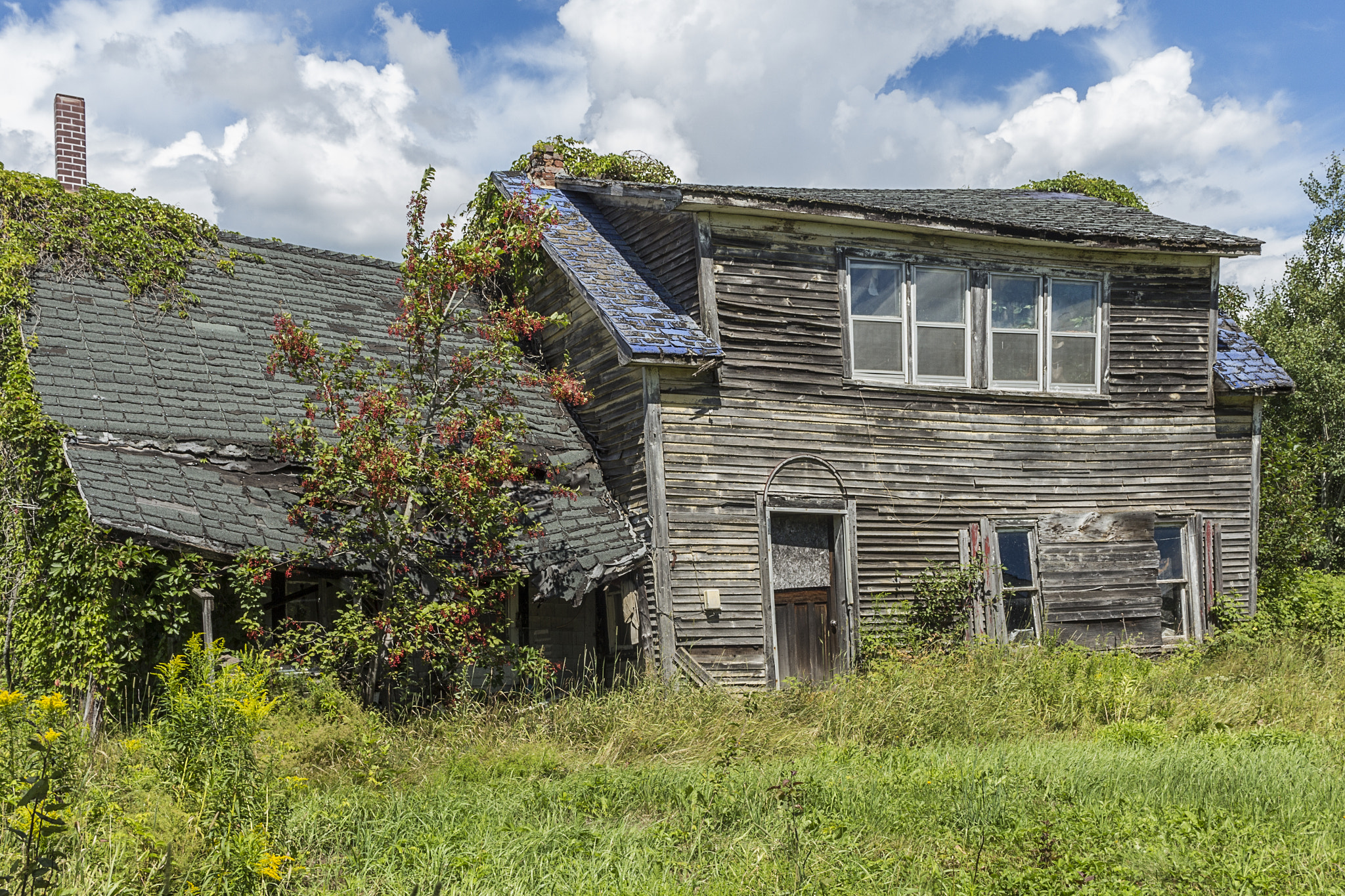 Canon EF-S 24mm F2.8 STM sample photo. House for sale! photography