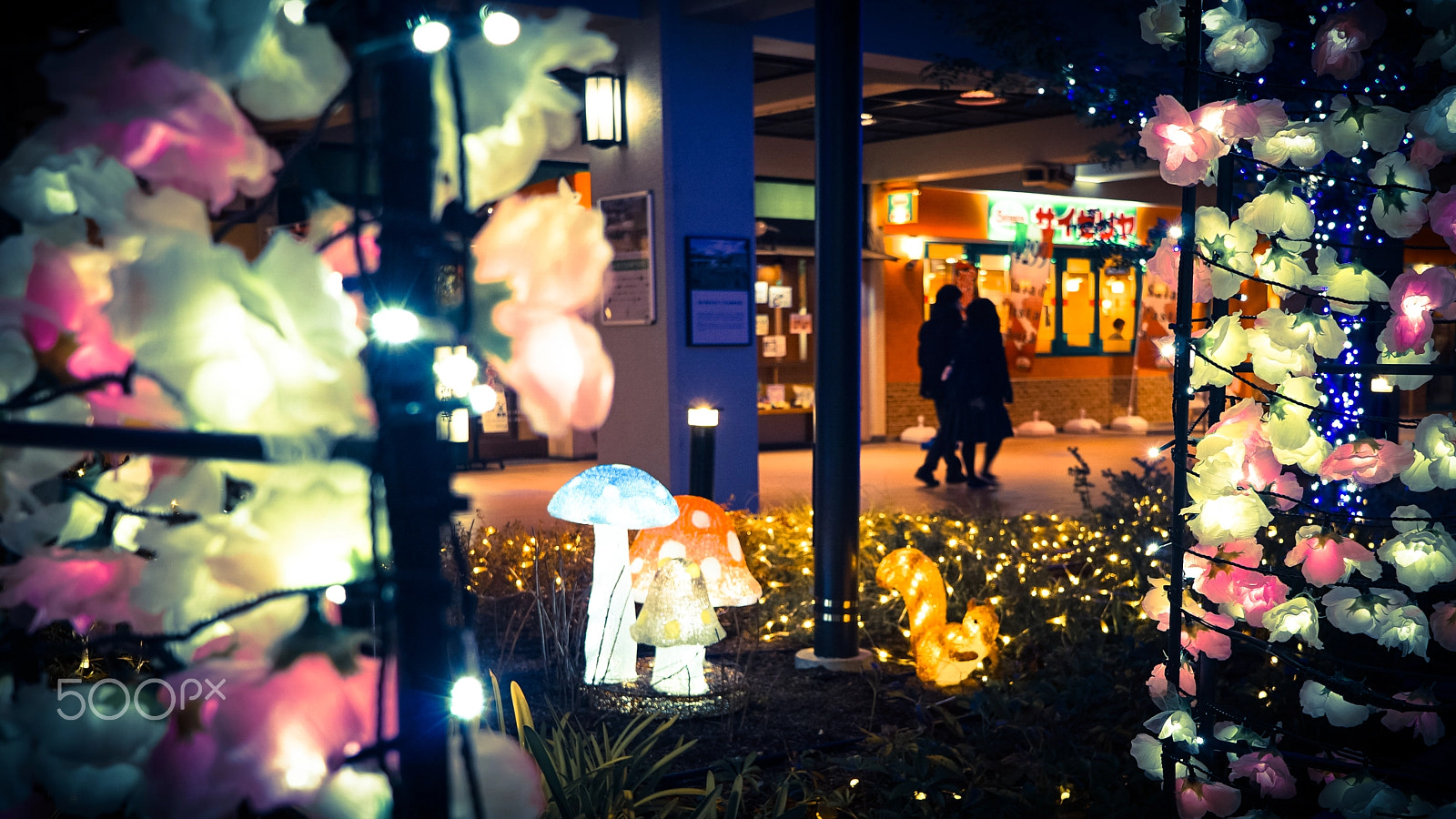 Sony E 20mm F2.8 sample photo. A themeless night photography