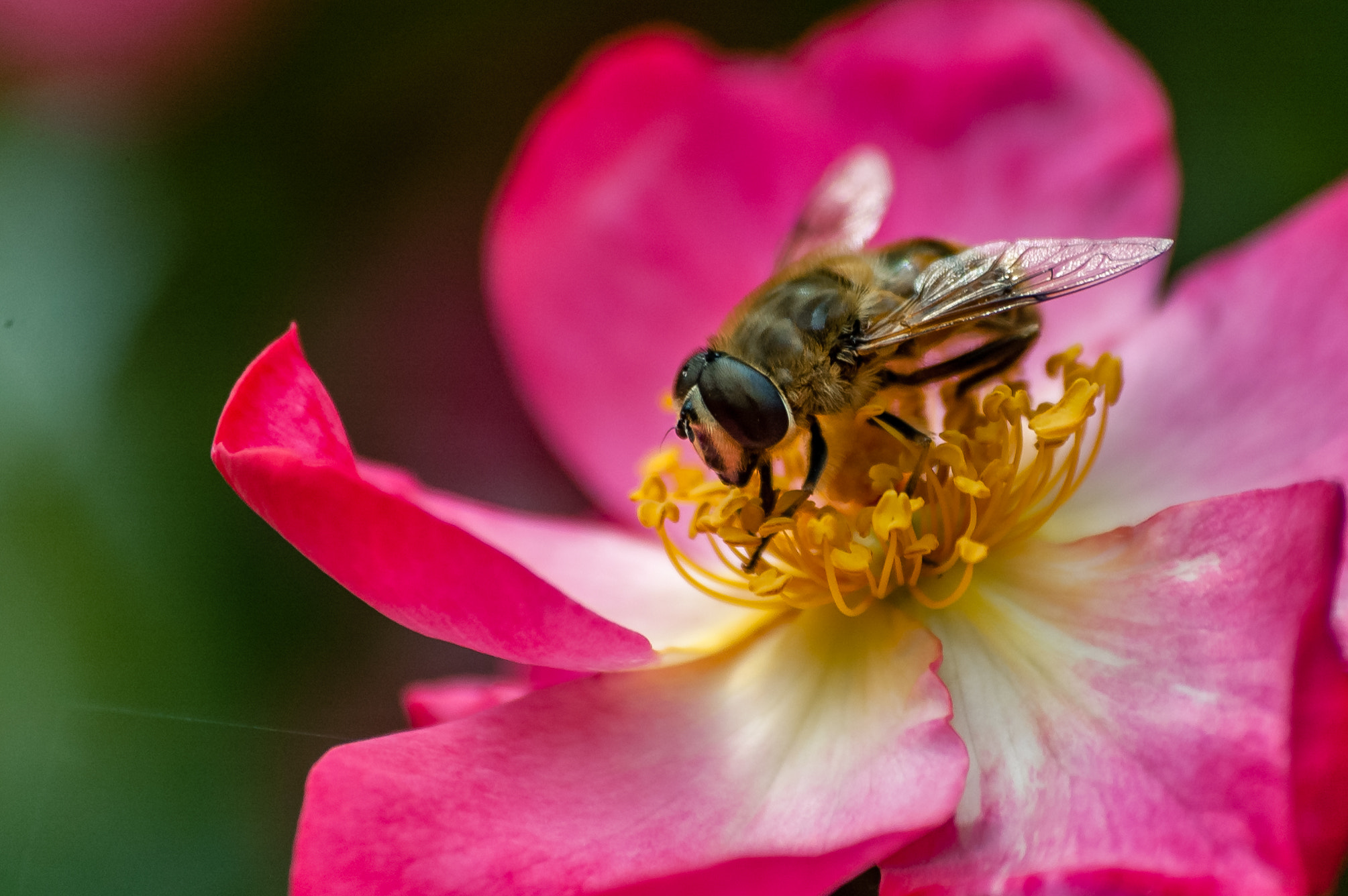 Nikon D70 sample photo. S2 photography