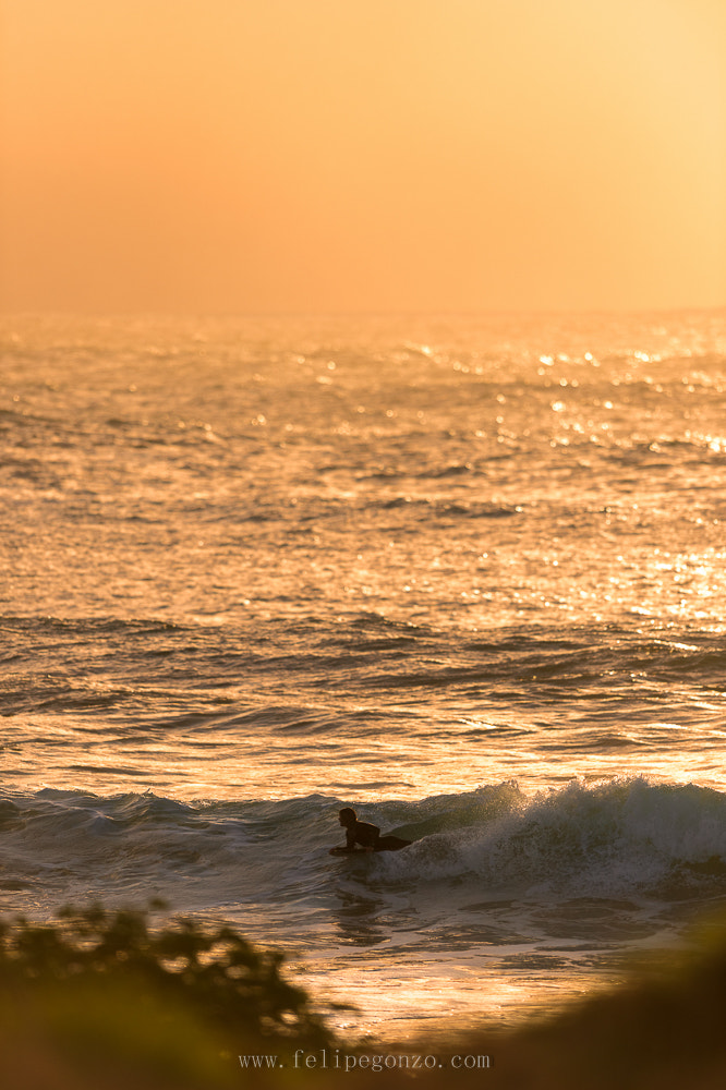 Nikon AF-S Nikkor 400mm F2.8G ED VR II sample photo. Enjoying life. photography