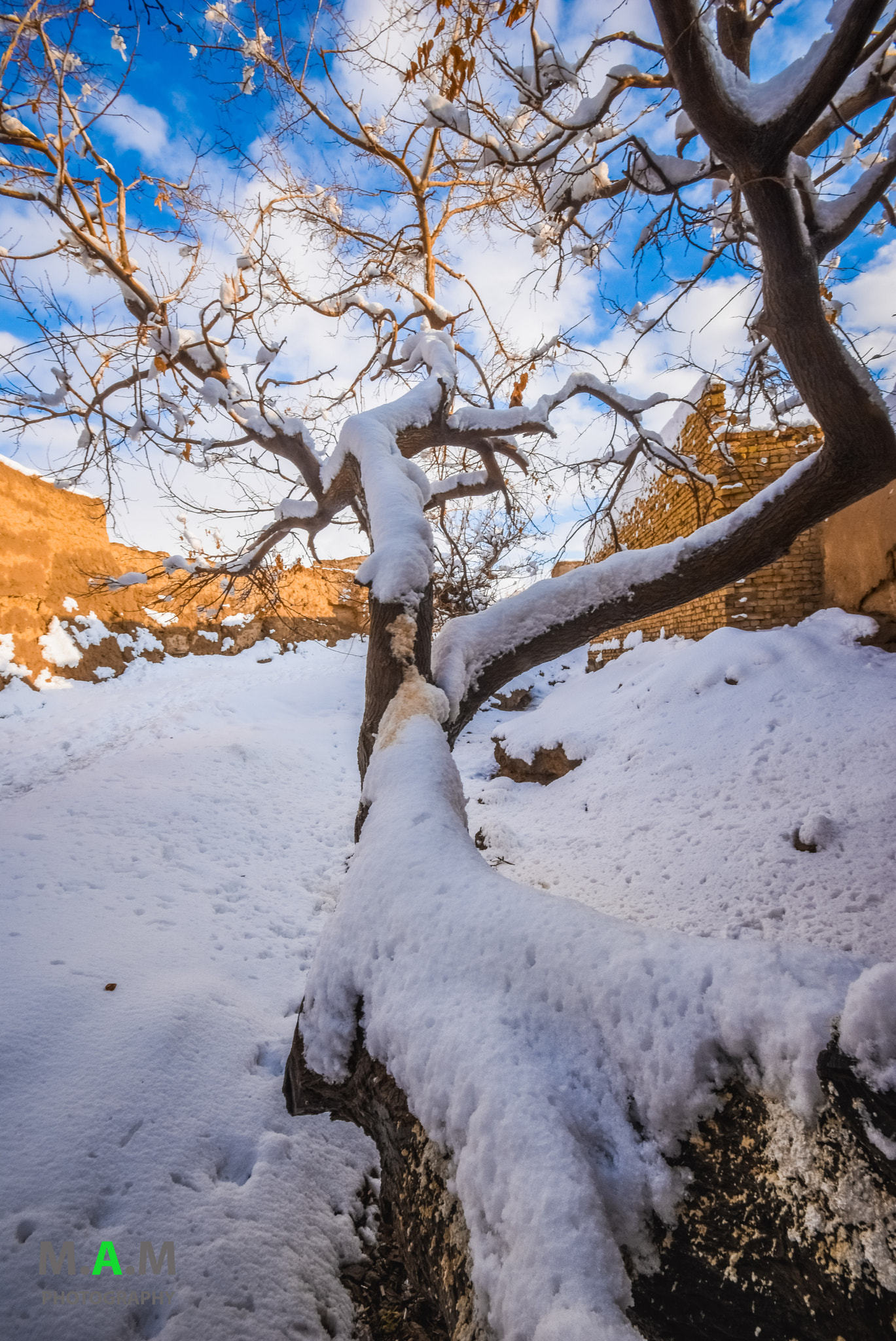 Sigma 10-20mm F4-5.6 EX DC HSM sample photo. Beauty of mastung. photography