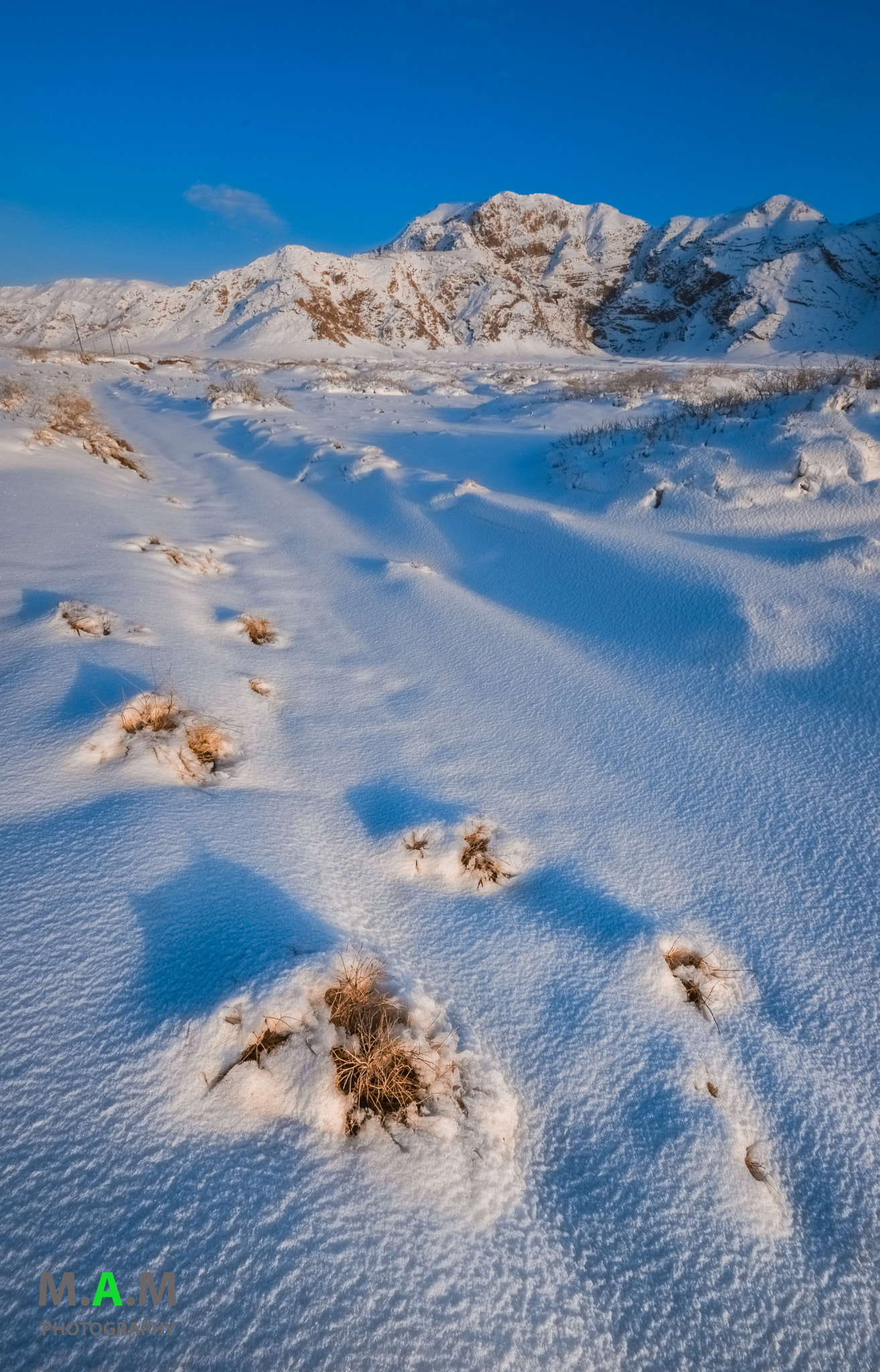 Sigma 10-20mm F4-5.6 EX DC HSM sample photo. Beauty of mastung. photography