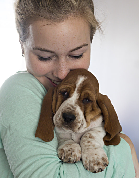 Canon EF 40mm F2.8 STM sample photo. New puppy! photography