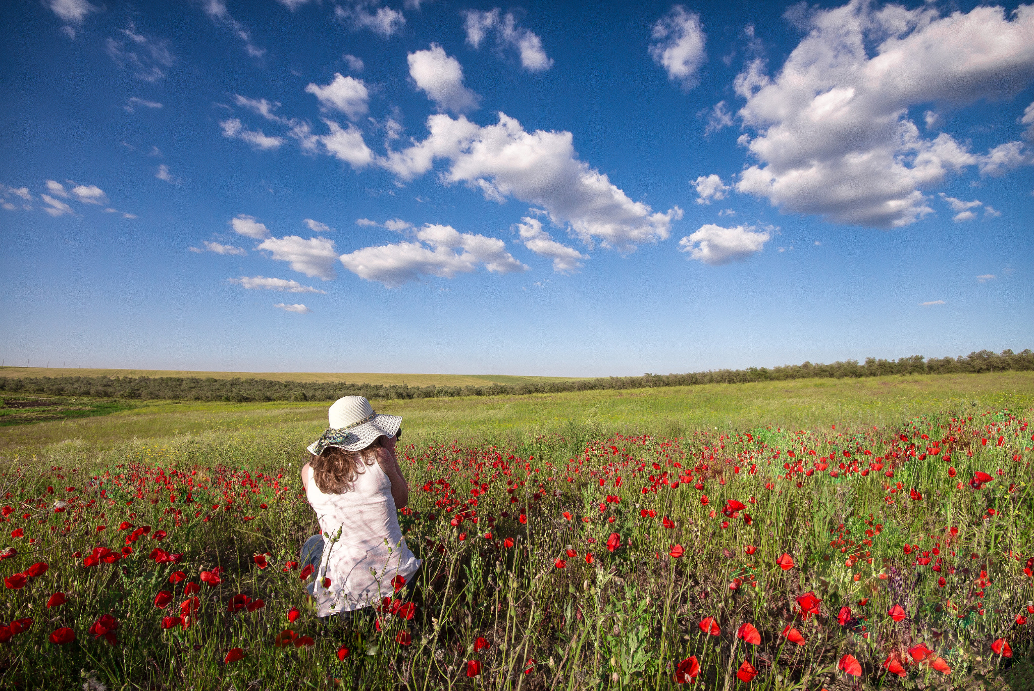 Canon EOS 700D (EOS Rebel T5i / EOS Kiss X7i) + Sigma 10-20mm F4-5.6 EX DC HSM sample photo. Poppie field photography