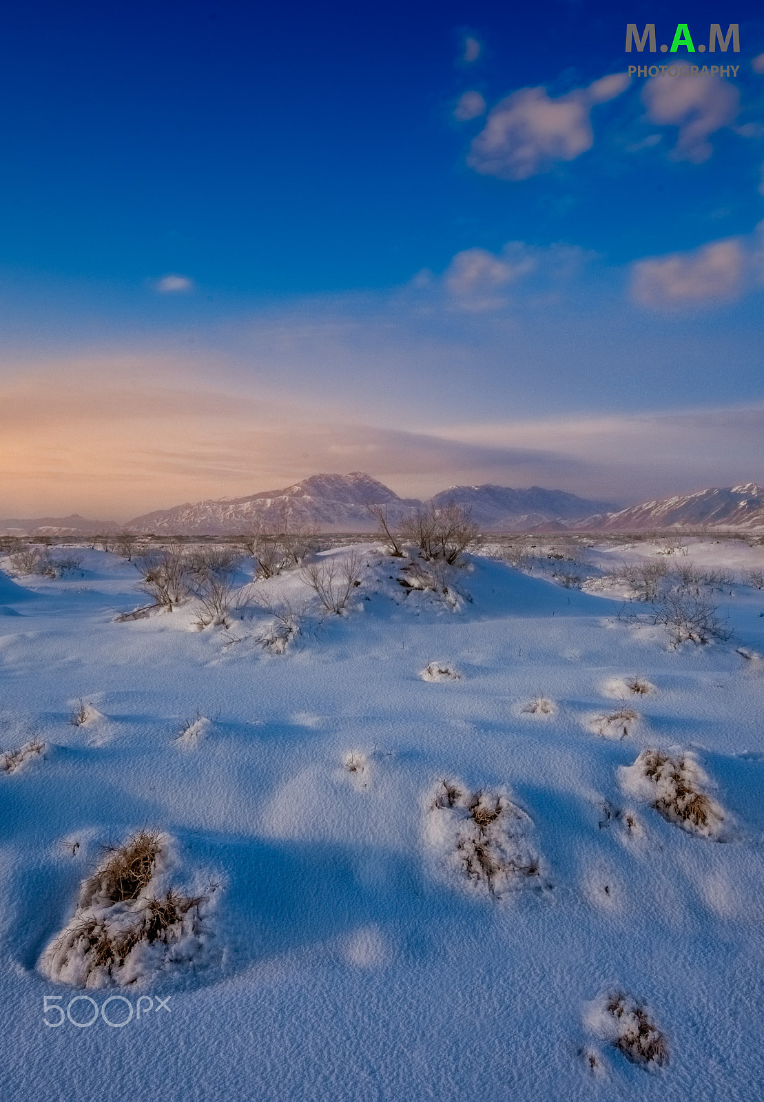 Sigma 10-20mm F4-5.6 EX DC HSM sample photo. Koh e chilton photography
