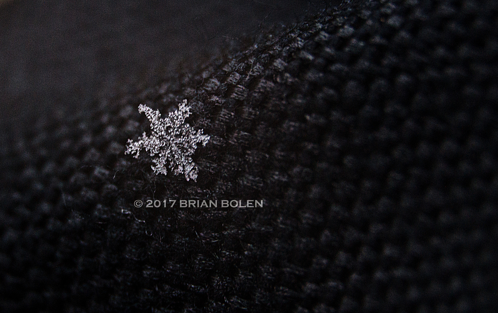 Sony SLT-A37 sample photo. Snowmageddon strikes again photography