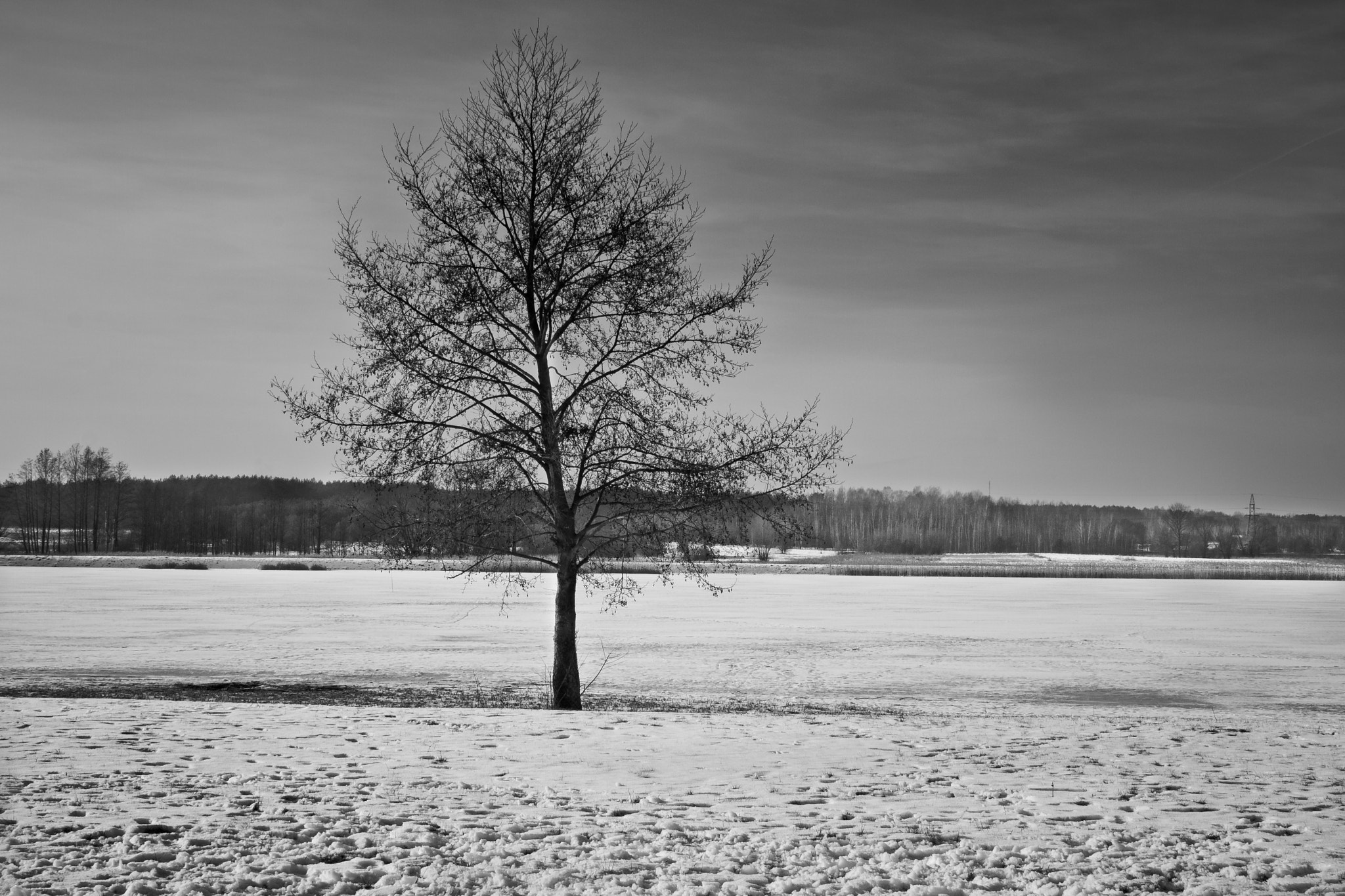 Canon EOS 40D + Canon EF-S 18-55mm F3.5-5.6 IS II sample photo. Winter black and white photography