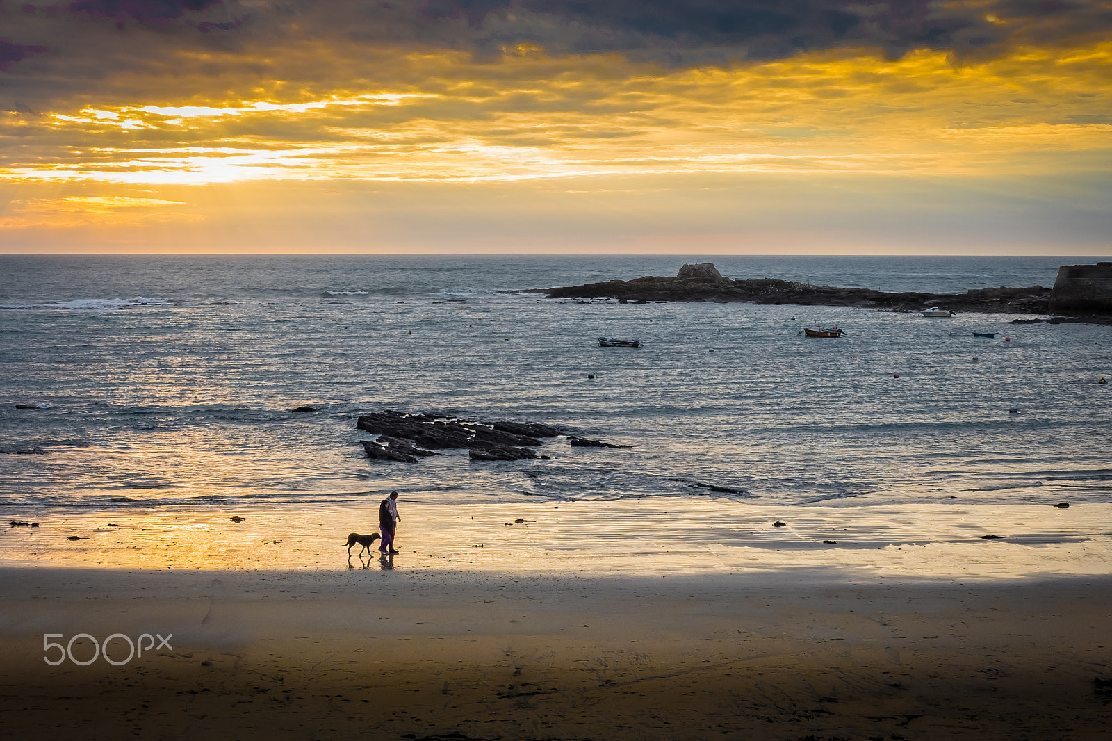 Fujifilm X-T1 + Fujifilm XF 27mm F2.8 sample photo. The man and his dog photography