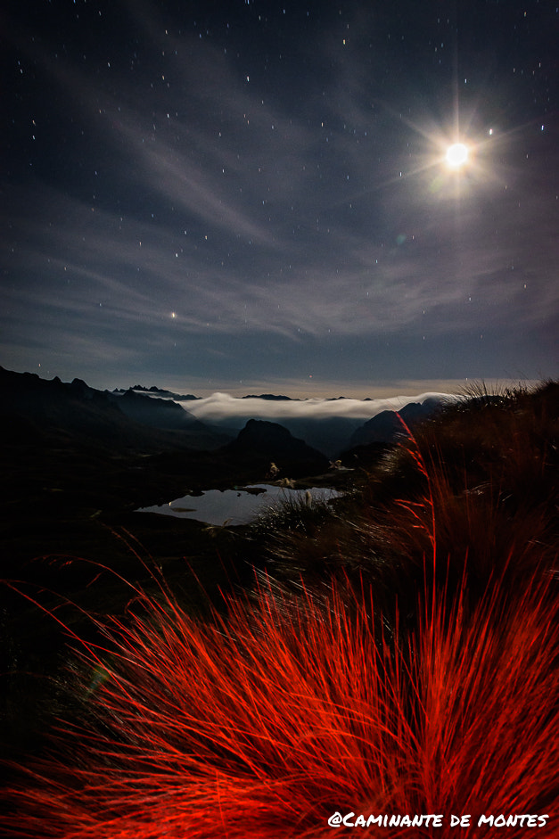 Sigma 18-250mm F3.5-6.3 DC Macro OS HSM sample photo. El páramo of the cajas national park. photography