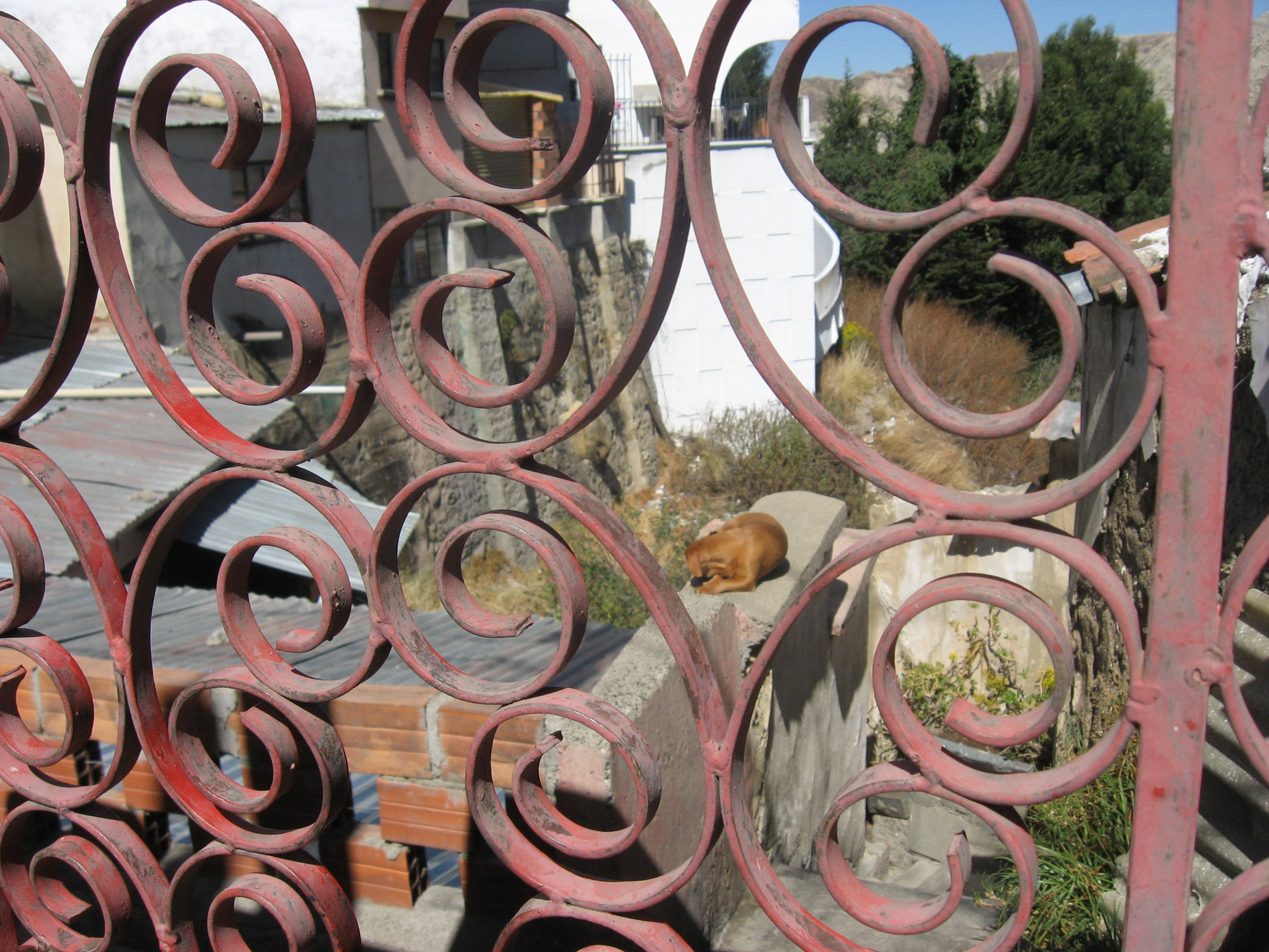 Canon POWERSHOT A540 sample photo. Propiedad privada photography