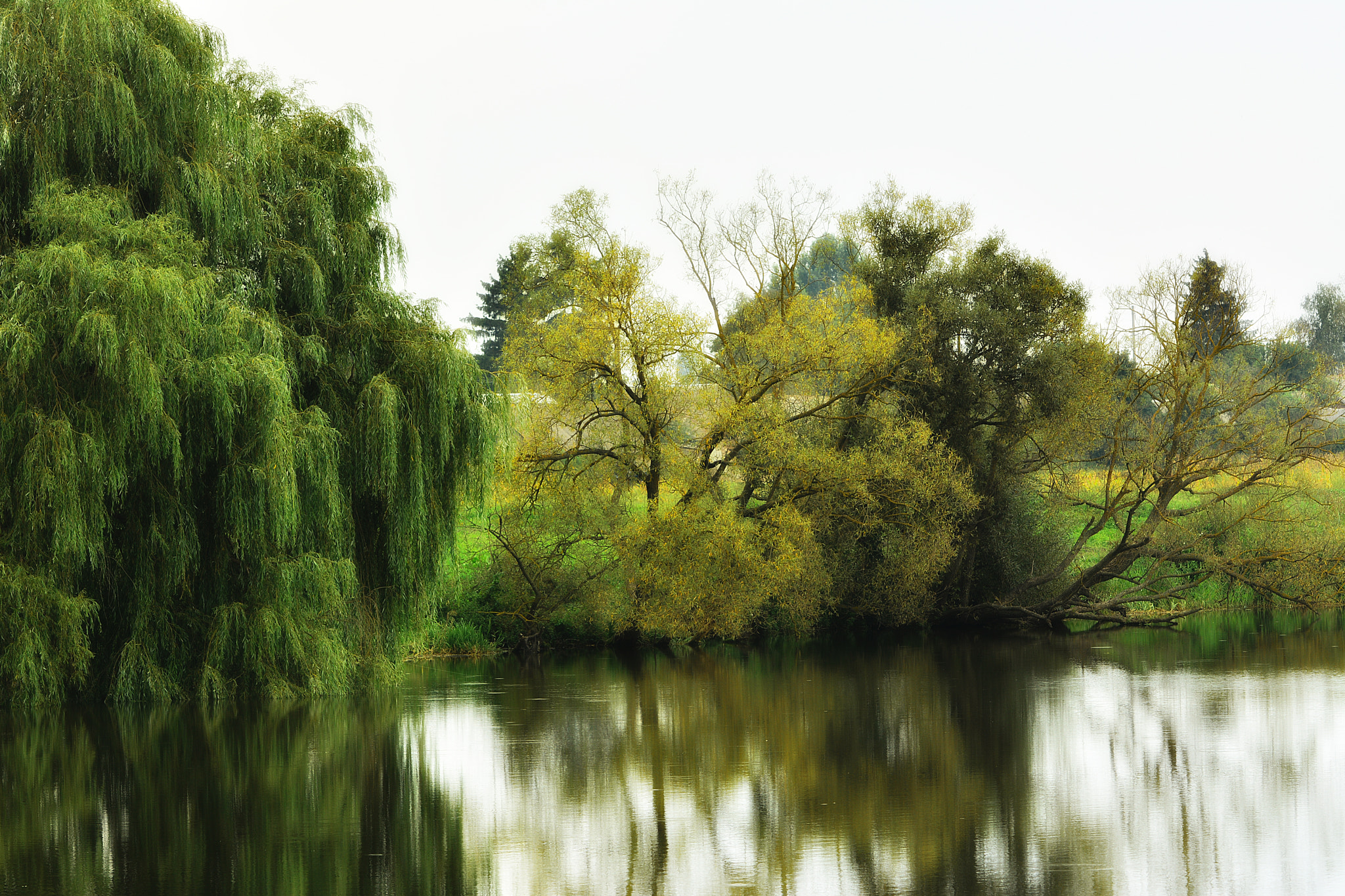 Nikon AF-S Nikkor 70-200mm F4G ED VR sample photo. Nature on the lake photography