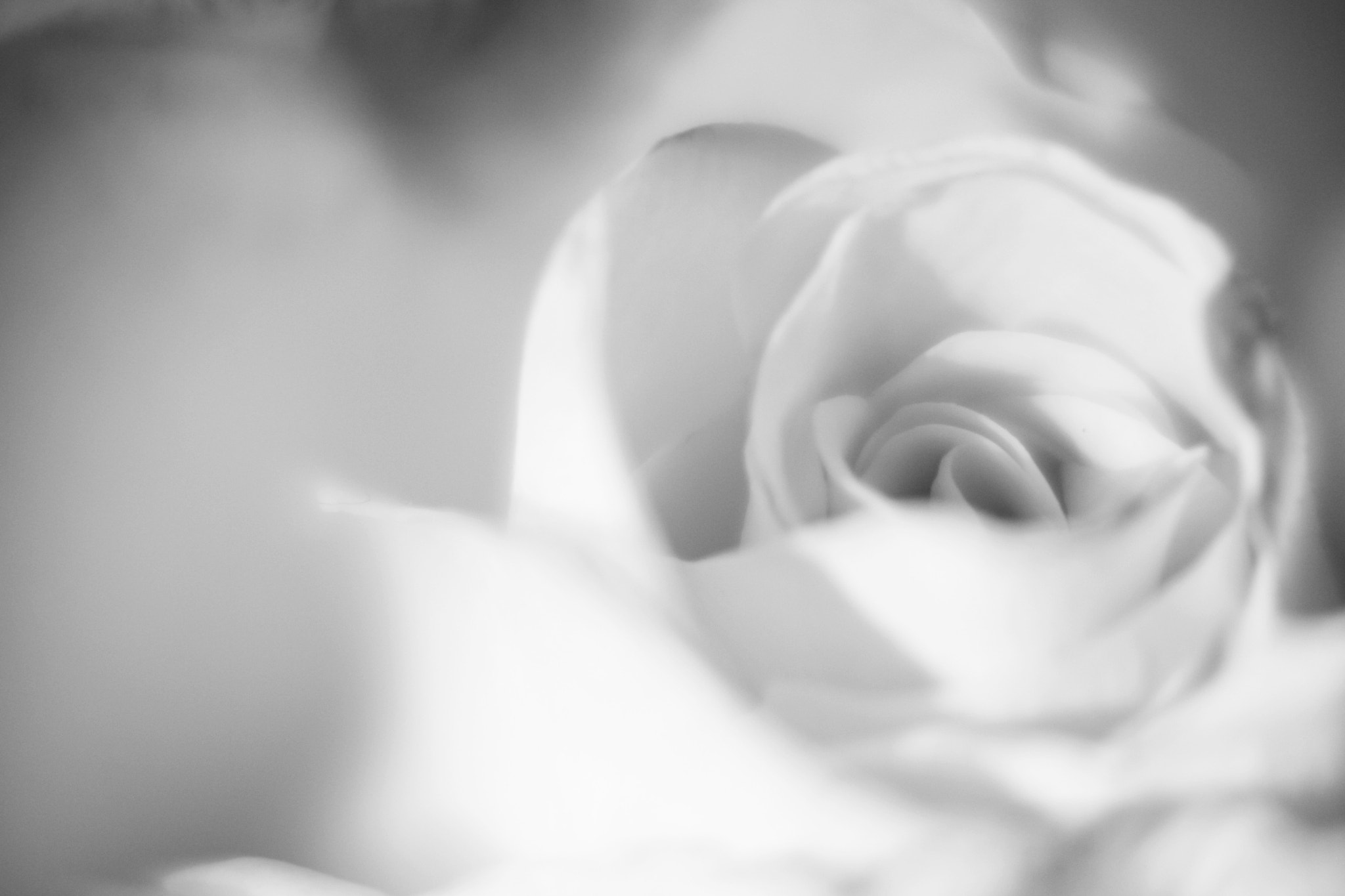 Canon EF-S 55-250mm F4-5.6 IS II sample photo. Serenity photography