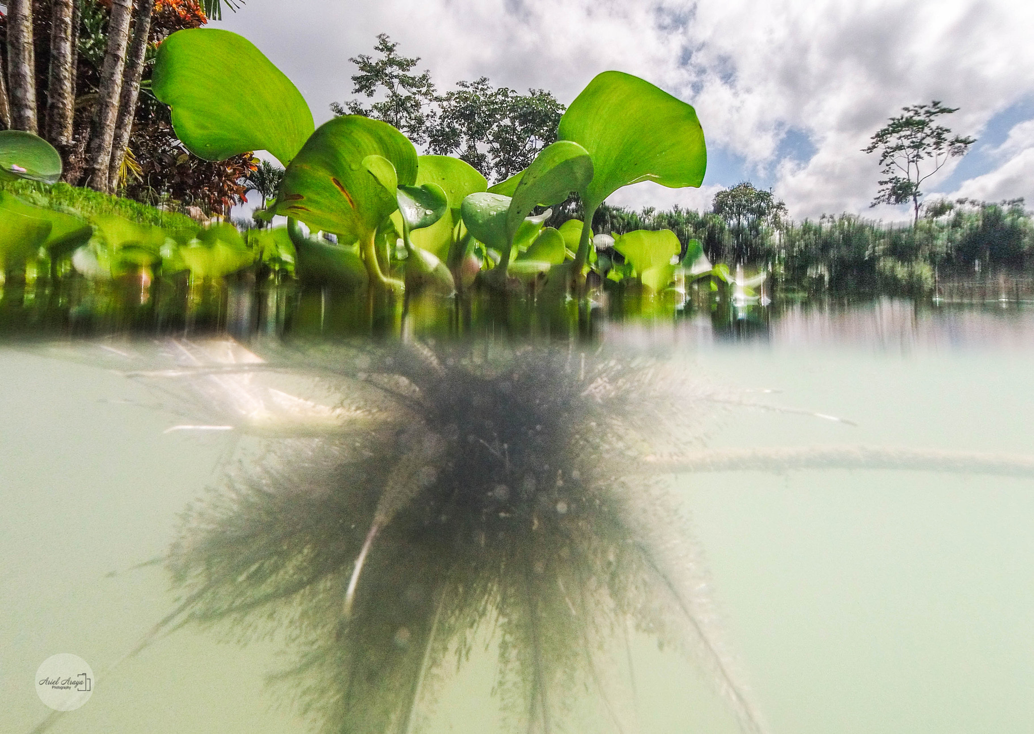 GoPro HERO5 Session sample photo. Half and half pic photography