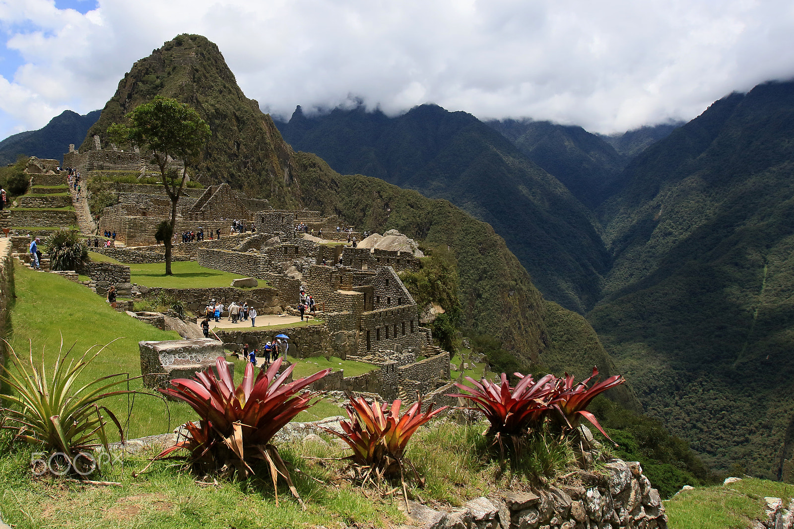 Canon EOS 7D Mark II + Canon EF 16-35mm F2.8L USM sample photo. Machu picchu peru photography