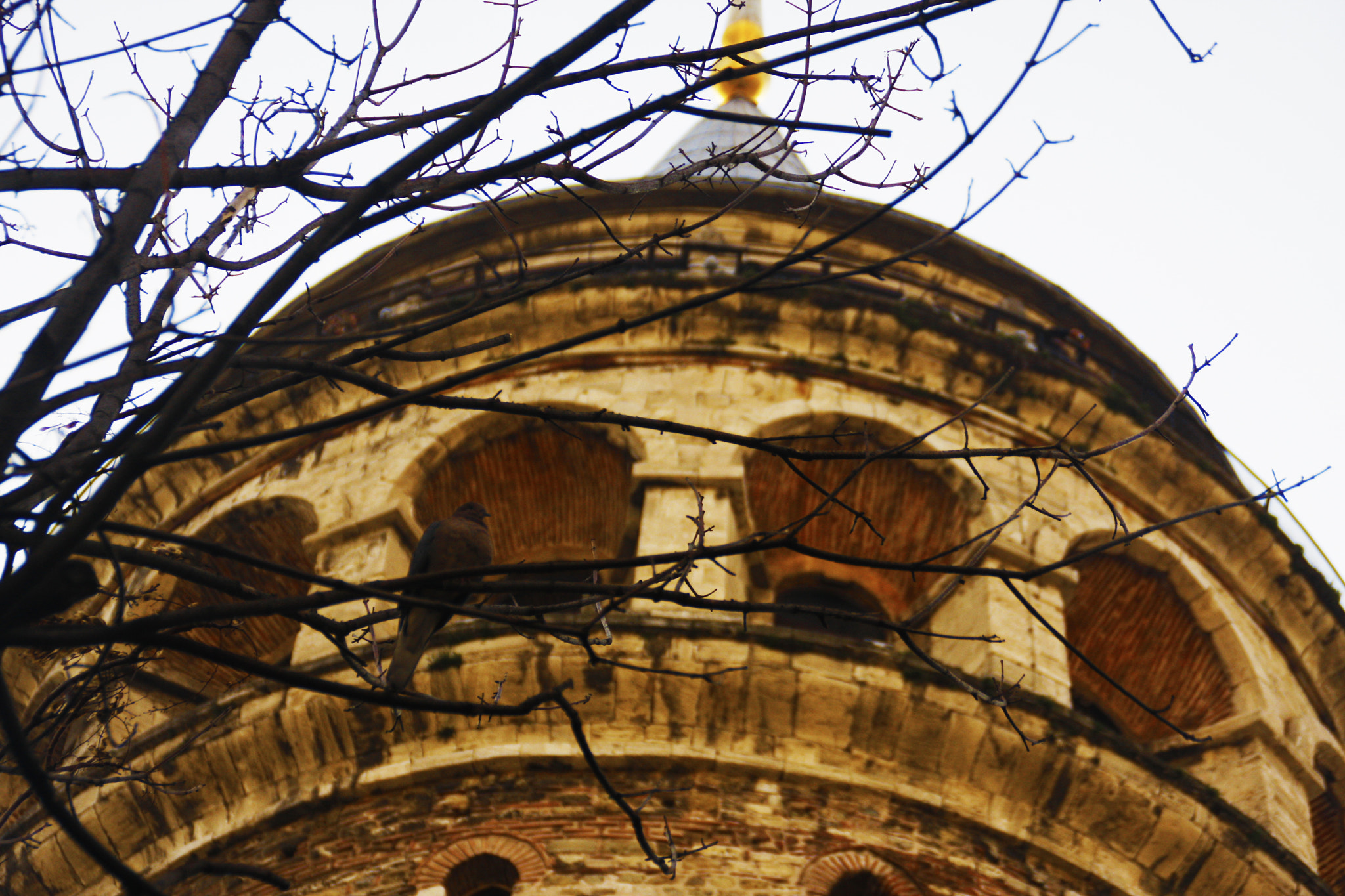 Canon EOS 40D sample photo. Autumn morning galata tower. photography