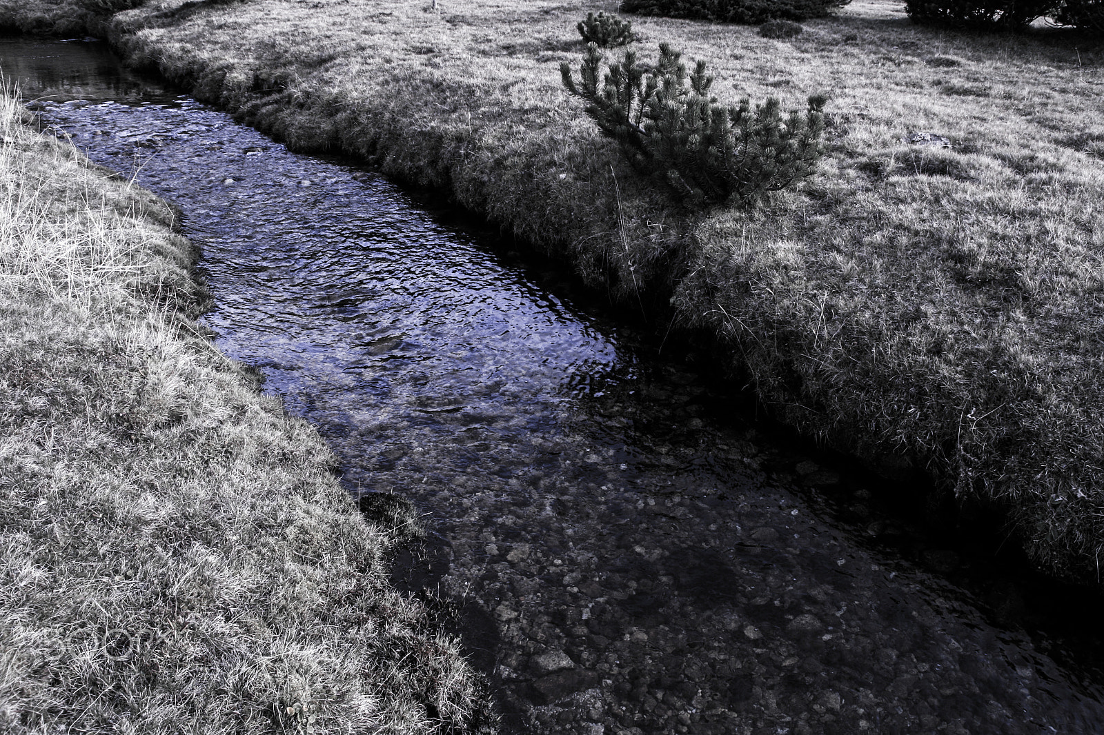 Canon EOS 400D (EOS Digital Rebel XTi / EOS Kiss Digital X) sample photo. Water stream photography
