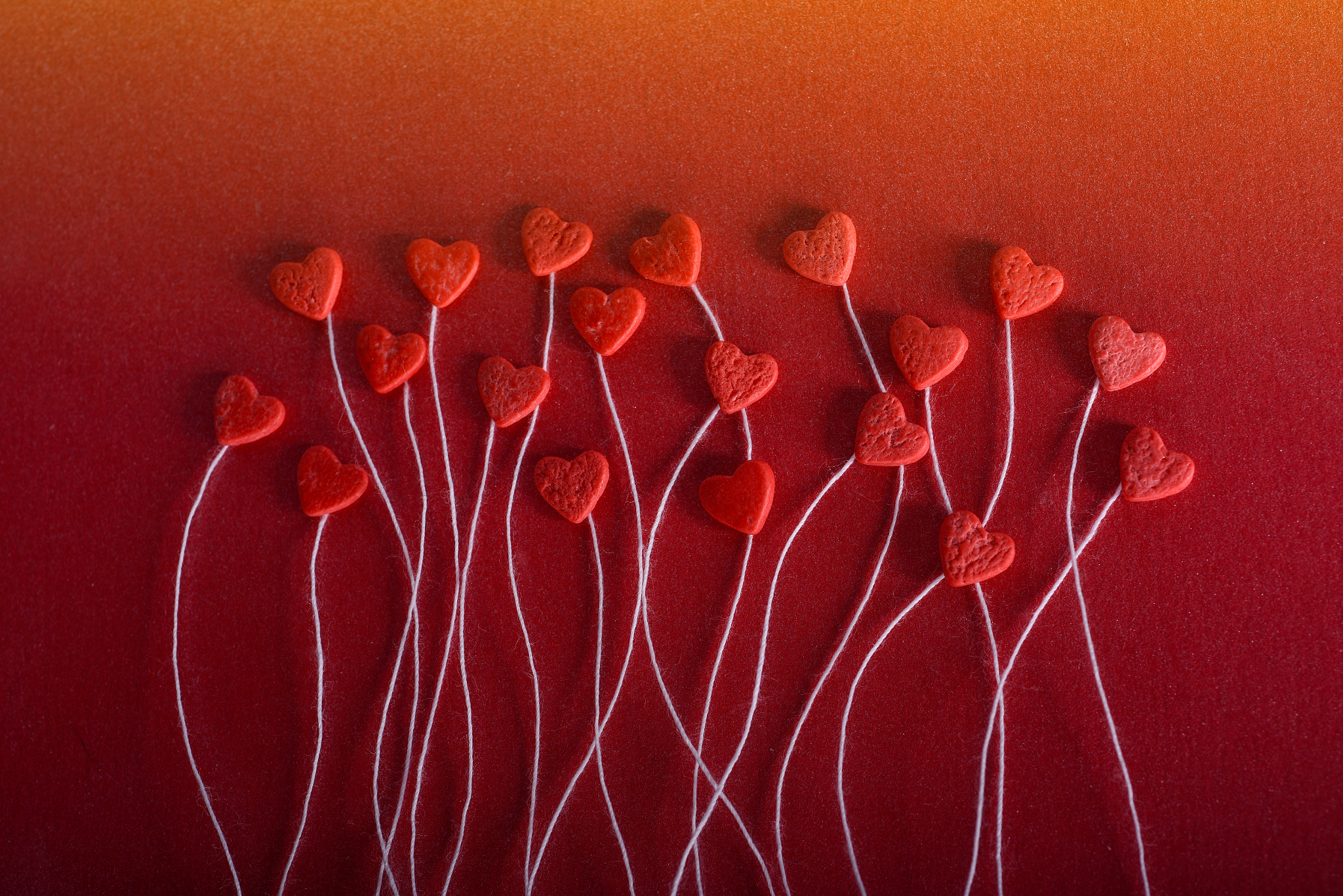 Nikon D810 + Nikon AF Micro-Nikkor 60mm F2.8D sample photo. Romantic hearts on a red background. the concept for valentine's day photography