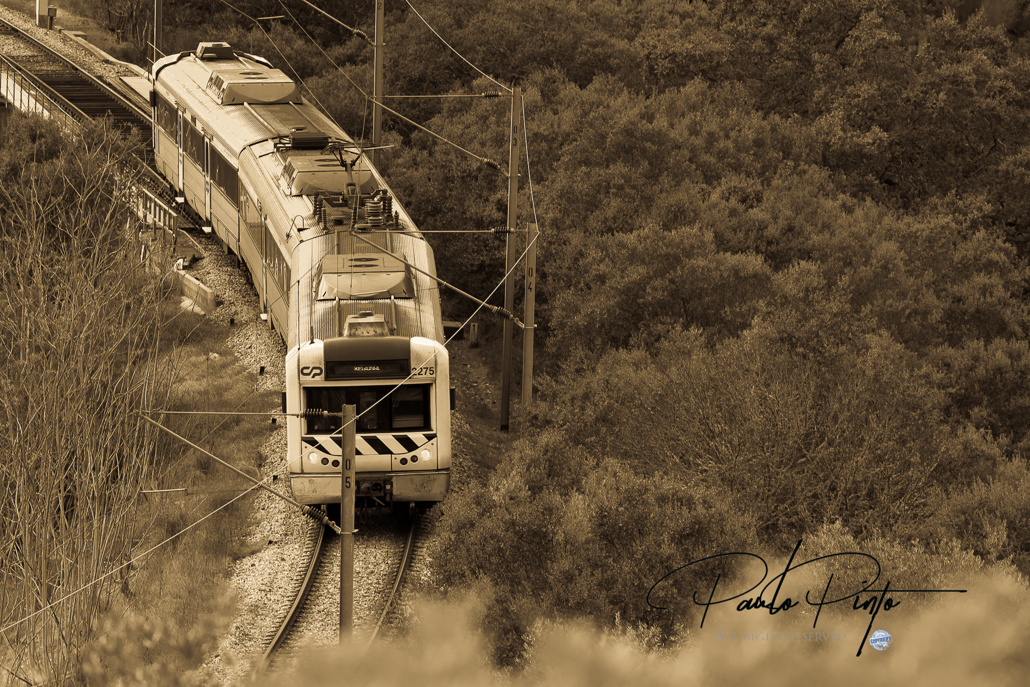 Canon EOS 80D + Canon EF 70-200mm F4L USM sample photo. Beira baixa train photography