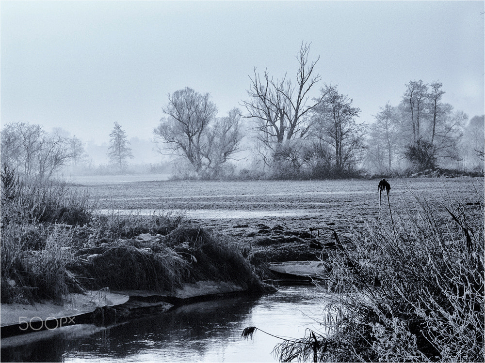 KONICA MINOLTA DiMAGE A1 sample photo. Eisig photography