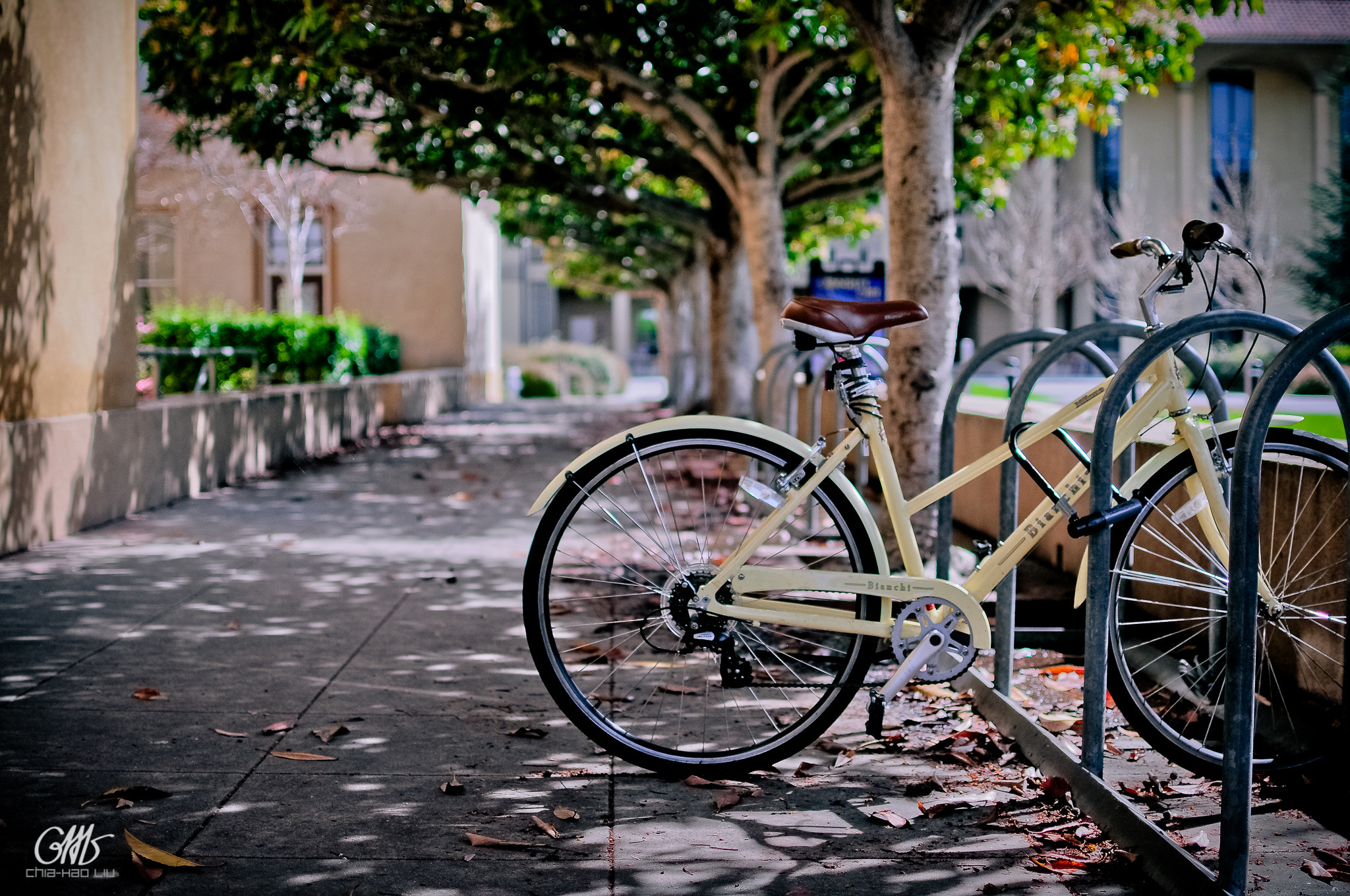 Nikon D300S + Nikon AF-S DX Nikkor 35mm F1.8G sample photo. O photography