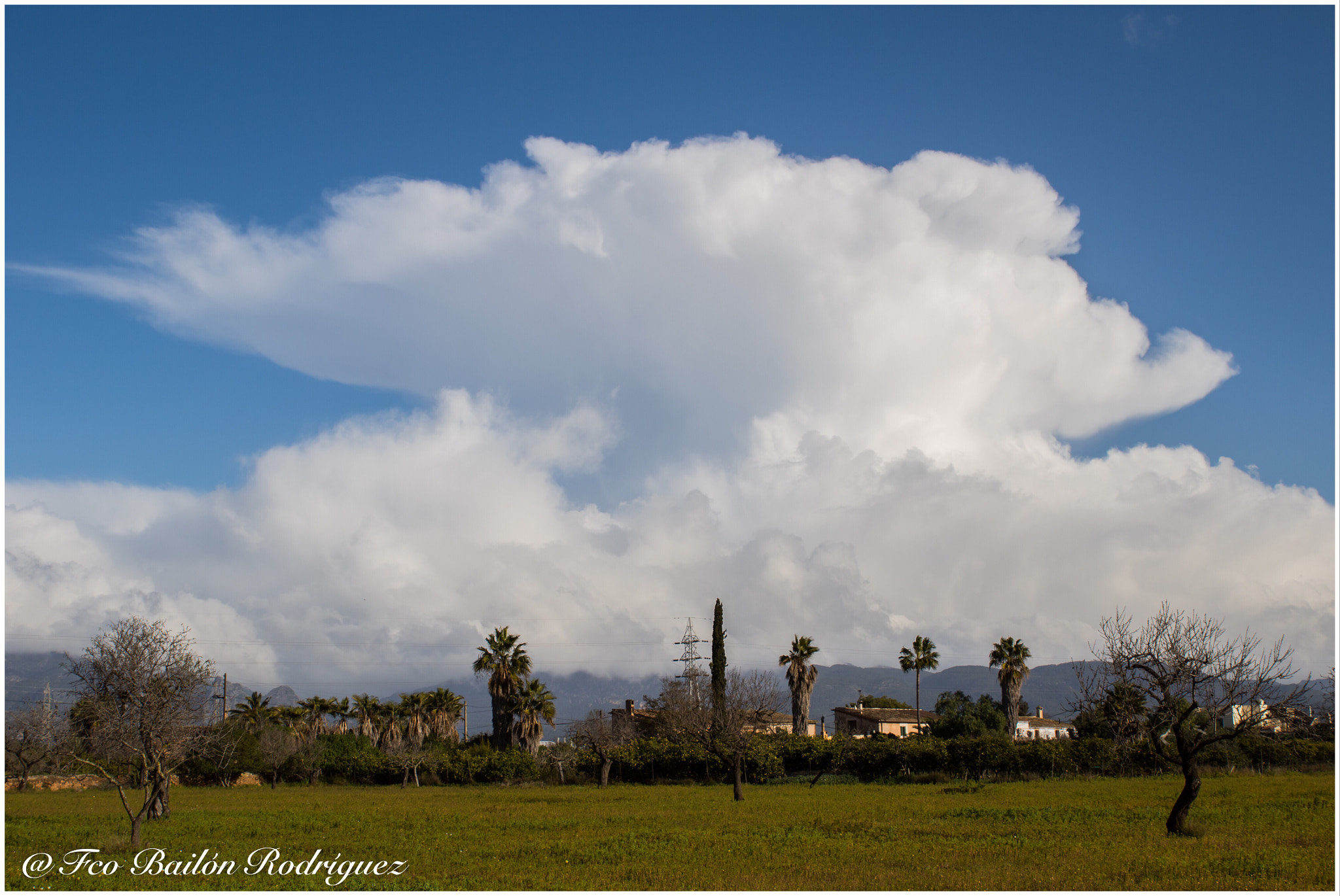 Sigma 24-70mm F2.8 EX DG Macro sample photo. Cumulonimbus incus (palma, mallorca) photography